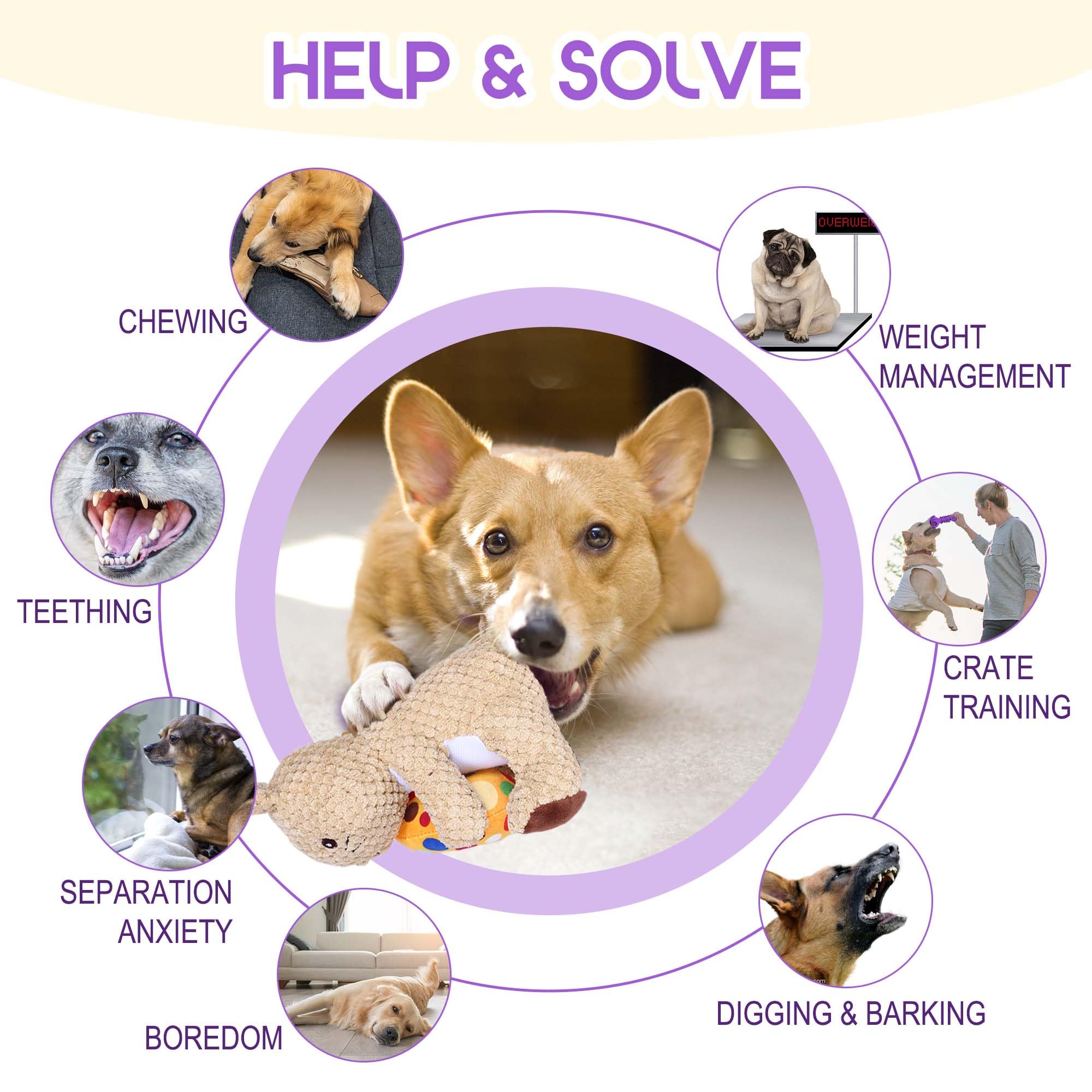 Wonfly Easter Dog Squeaker Toys (2 Pcs), Rabbit & Eggs - 8.5In Plush Dog Toy With Squeaker, Cotton Material, Daily Entertainment