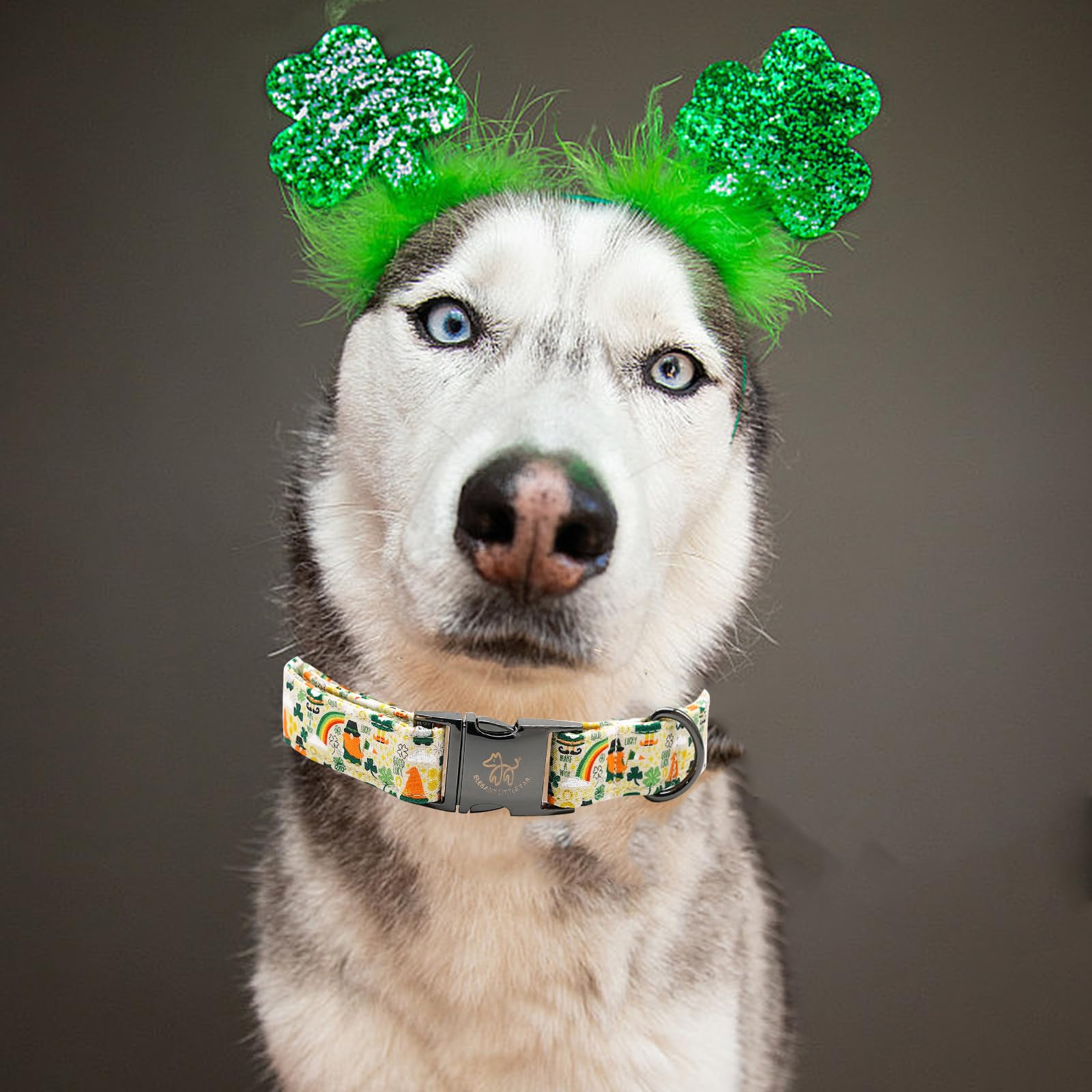 Elegant Little Tail Lucky Colver St. Patrick's Day Adjustable Dog Collar for Medium Dogs