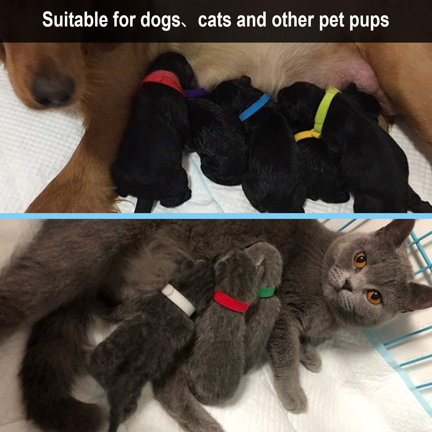 Febsnow 30 Pcs Puppy Id Collar Whelping Newborn Pet Collars Double-Sided Soft Adjustable Identification Collar Id Bands For Newborn Pet Dog Cat 15 Colors