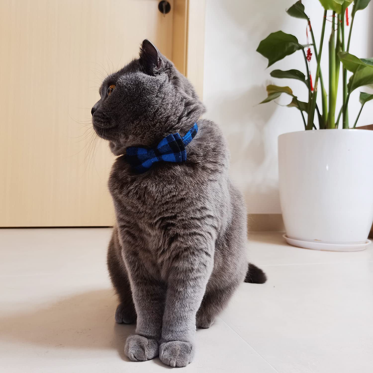 Cat Collar Breakaway With Bell And Bow Tie, Plaid Design Adjustable Safety Kitty Kitten Collars(6.8-10.8In) (Blue Plaid 3)