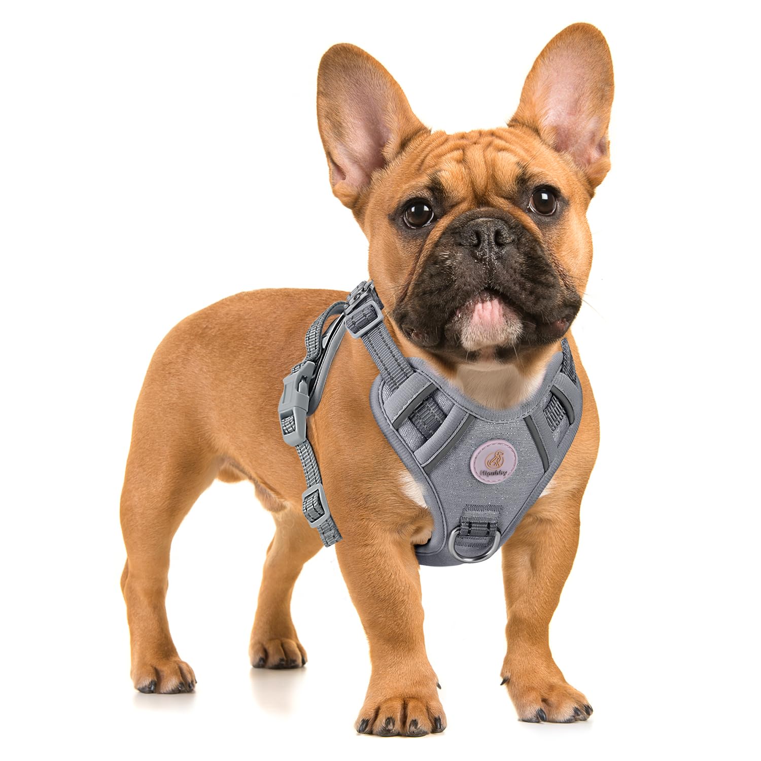 Hipubby Dog Harness Small Sized Dog, No Pull Pet Harness with 2 Metal Rings and Control Handle, Adjustable Soft Dog Vest with Re