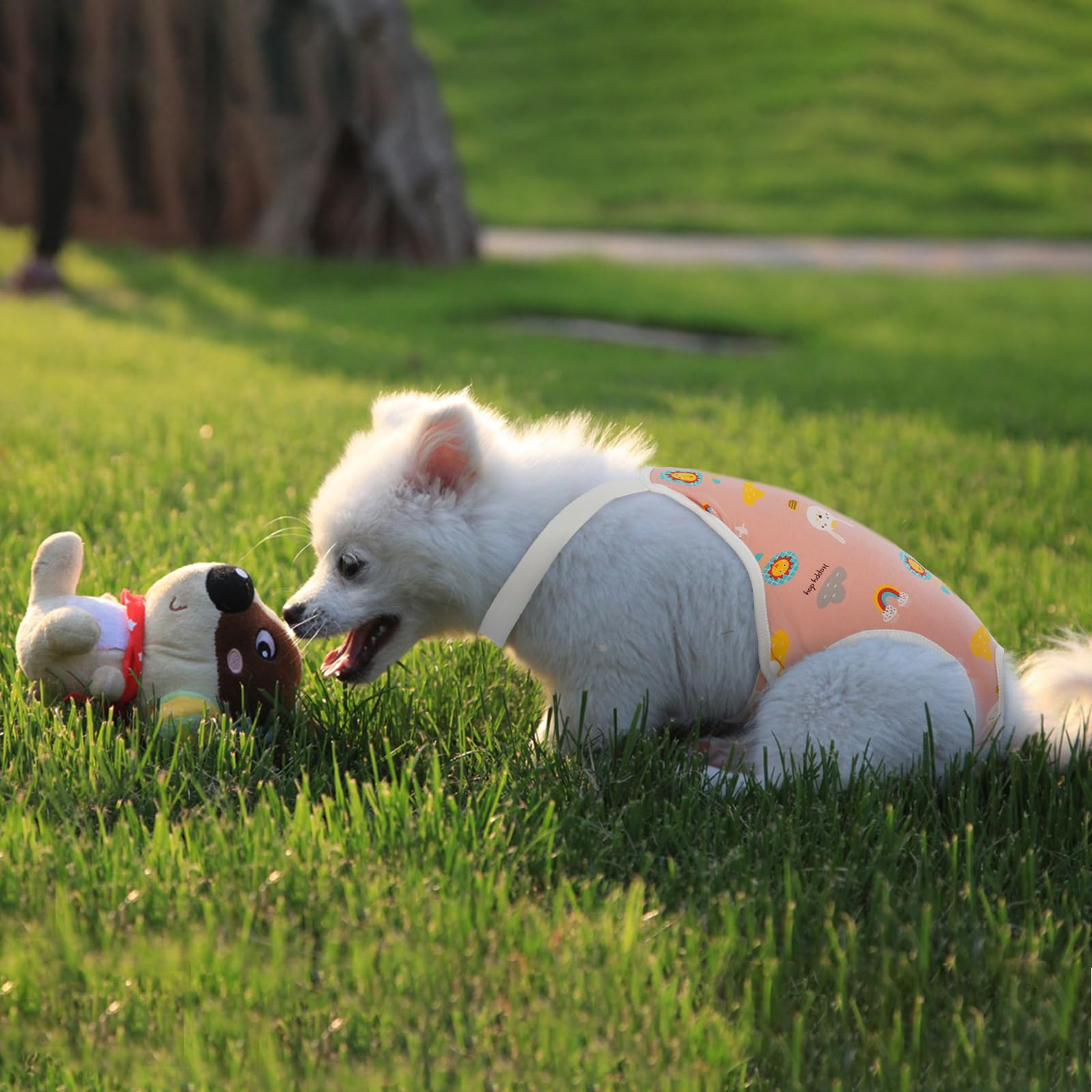 Qbleev Dog Diapers Female Sanitary Pantie With Adjustable Suspender, Reusable Doggie Diaper Cozy Underwear For Female Girl Dogs In Heat Period, Breathable Cotton Briefs For Teddy Corgi French Bulldog