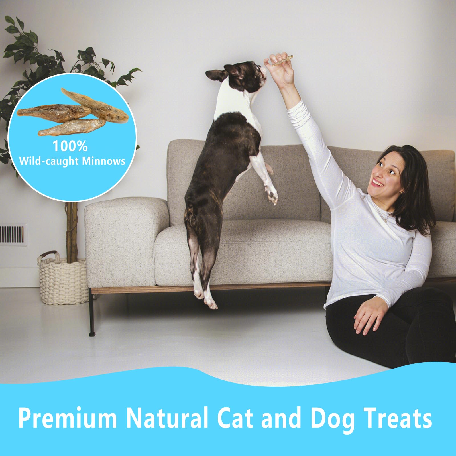 JADINGSFARM Minnows - 8.5 oz Freeze Dried - 100% Natural Premium Cat & Dog Treat