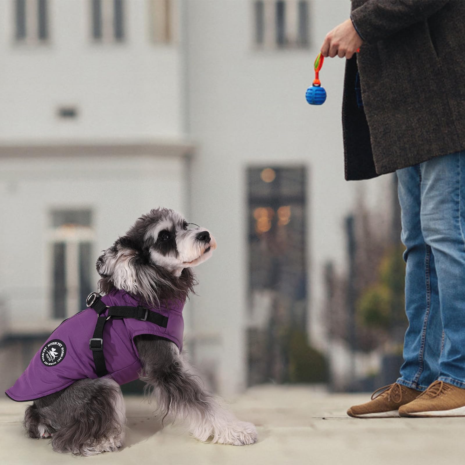 Norbi Dog Winter Jacket with Harness - Adjustable XX-Large, Purple - Warm Coats for Small, Medium & Large Dogs