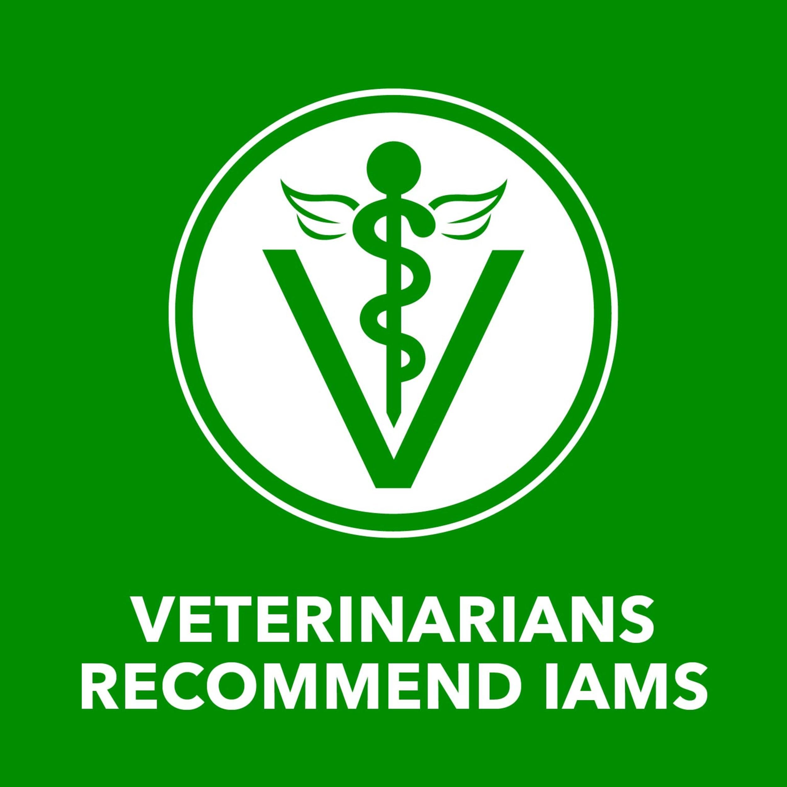 IAMS Proactive Health Adult Wet Dog Food Chicken Chunks in Gravy or Beef Chunks in Gravy, 13 oz. Cans (12 Count, Pack of 1)