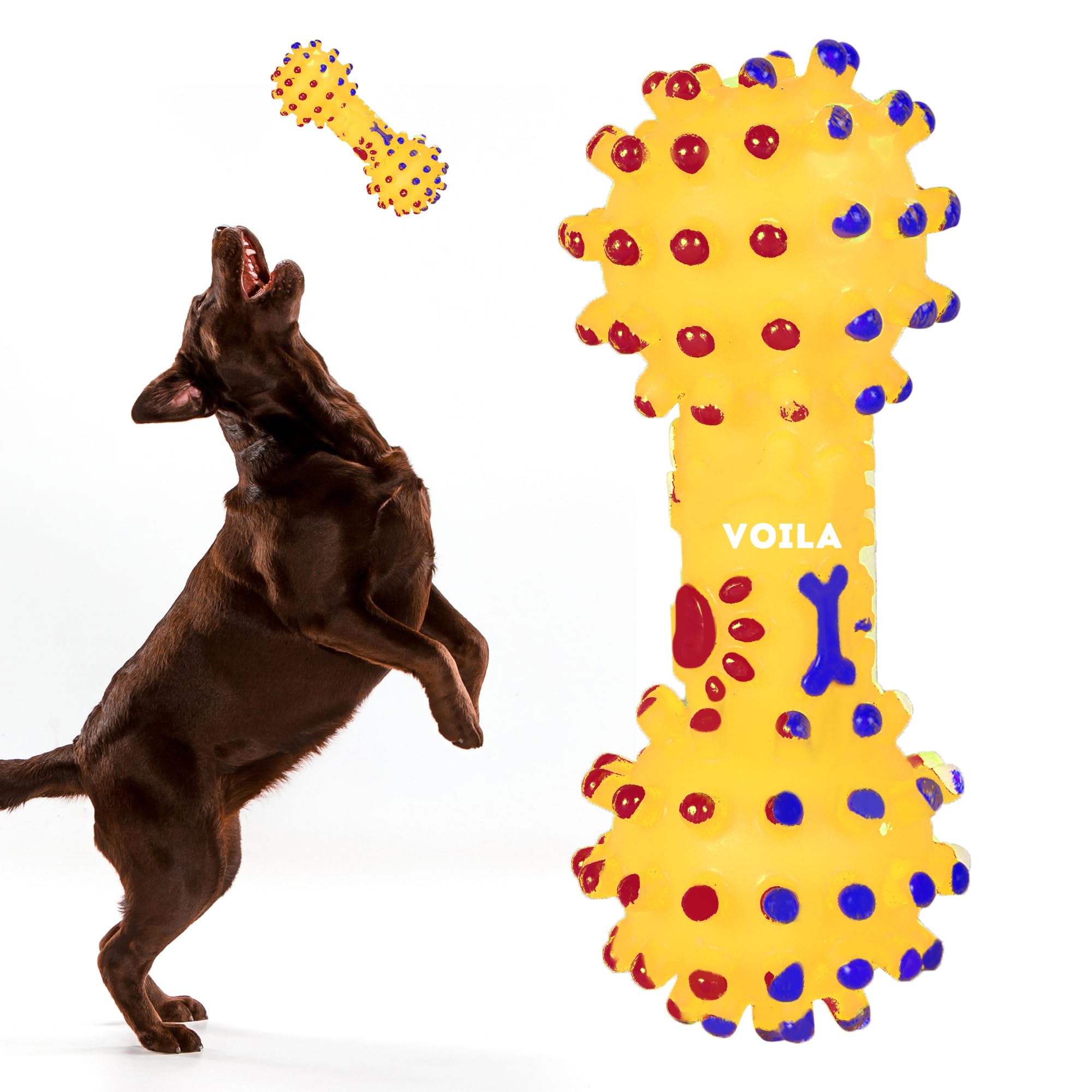 Voila Pet Dumbbell Toy For Dogs, Durable & Safe Toy For Small, Medium & Large Breeds, Interactive For Playtime & Fetch, NonToxi