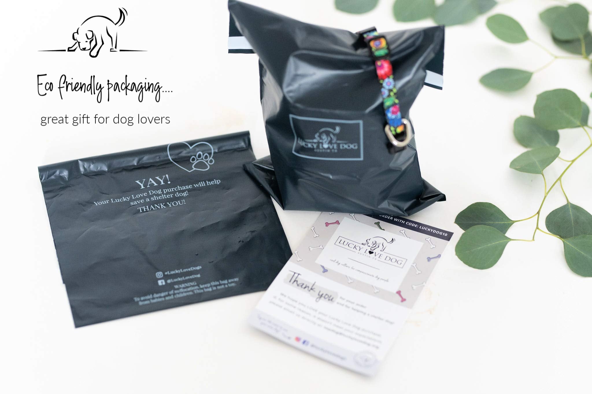 Lucky Love Dog Combo Set | Floral Dog Collar And Leash Set For Large Dogs | Cute Girl Matching Collar & Leash Set | Part Of Purchase Donated To Rescue (Ladybird Collar/Leash Combo, Large)