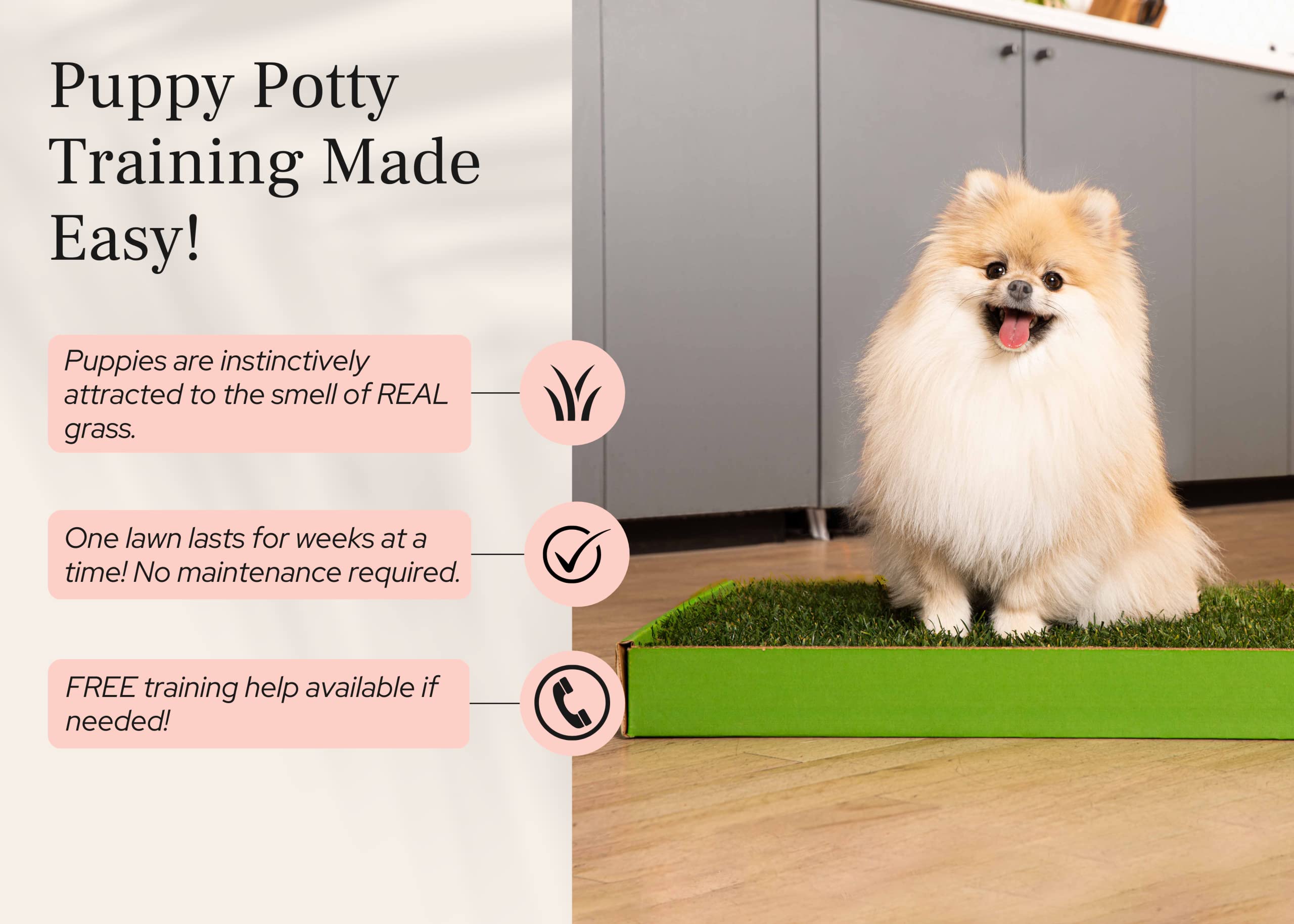 Doggielawn Real Grass Puppy Pee Pads- 24 X 16 Inches - Perfect Indoor Litter Box For Dogs - No Mess, Easy-To-Use - Potty Trainin