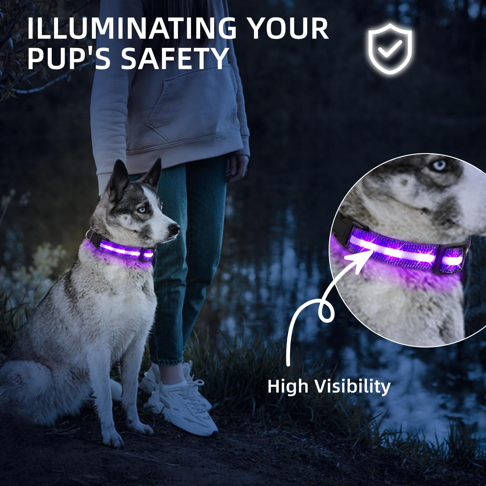LED Dog Collar for Small Dogs Cats - Fully Waterproof & Adjustable Glow Collar - USB-C Rechargeable for Night Walking, Safety -