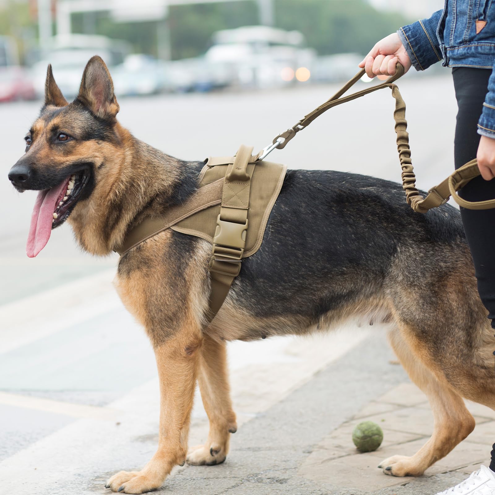 Excellent Elite Spanker Tactical Dog Leash Heavy Duty 5-6Ft Adjustable No Pull Military Bungee Dog Leash Elastic Leads Rope With 2 Padded Control Handle For Medium Large X-Large Dogs(Gry)