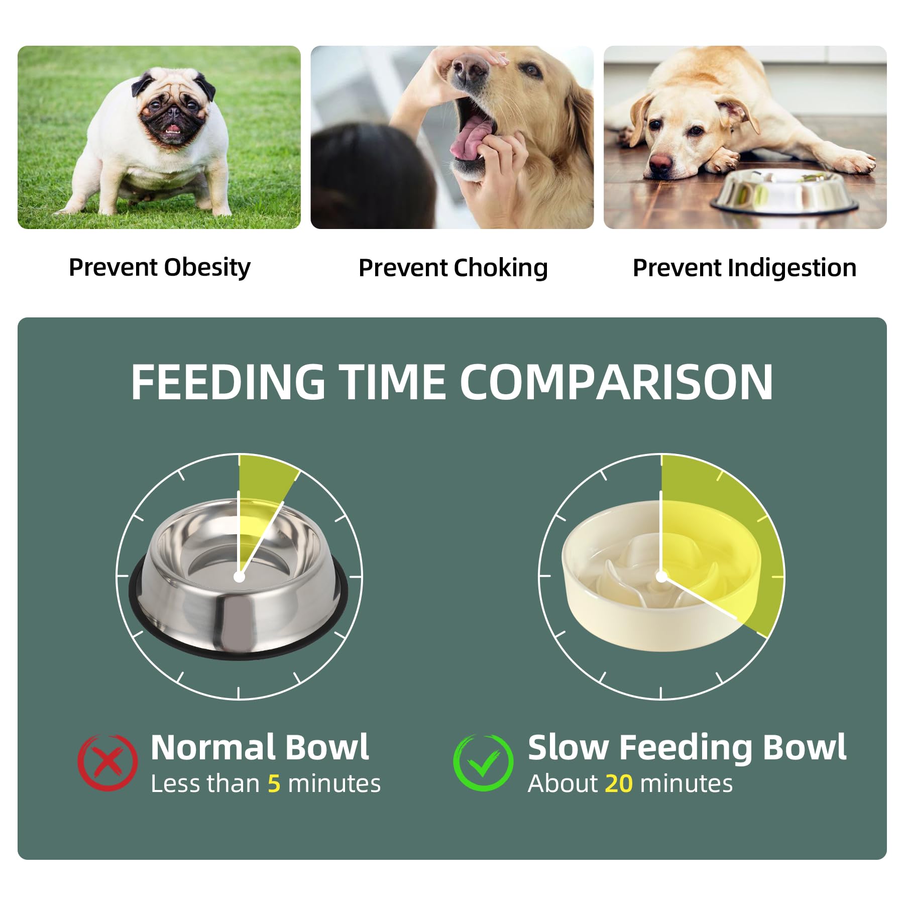 Havniva 6.1Inch Dog Bowl Slow Feeder Ceramic For Small Dog, Pet Slow Feeder, Stop Bloat, Preventing Choking(Single Bowl-Beige)