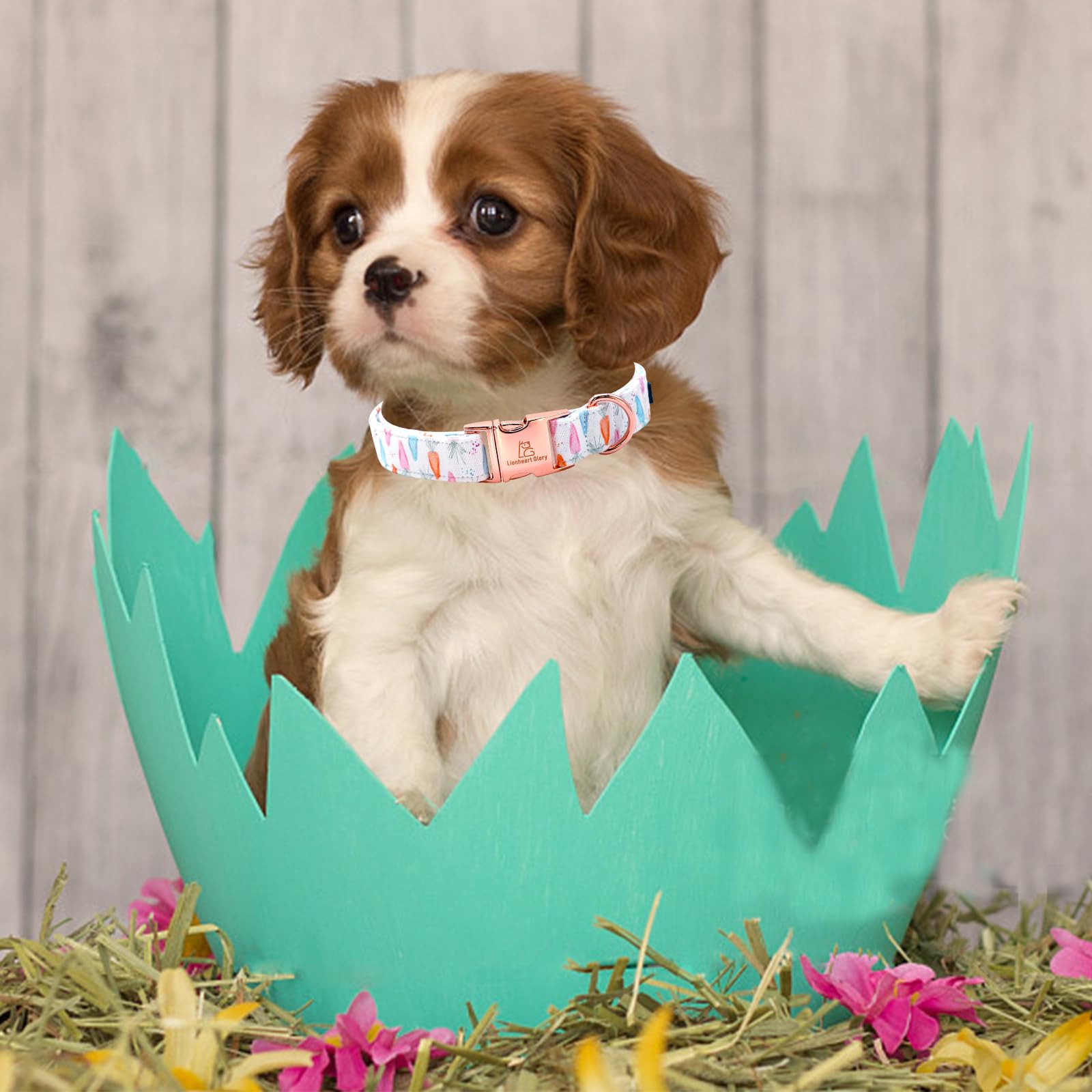 Lionheart Glory Easter Collar Carrot Print Dog Collar For Large Cute Dog Collars Spring Female Or Male Pet Gift Adjustable Heavy