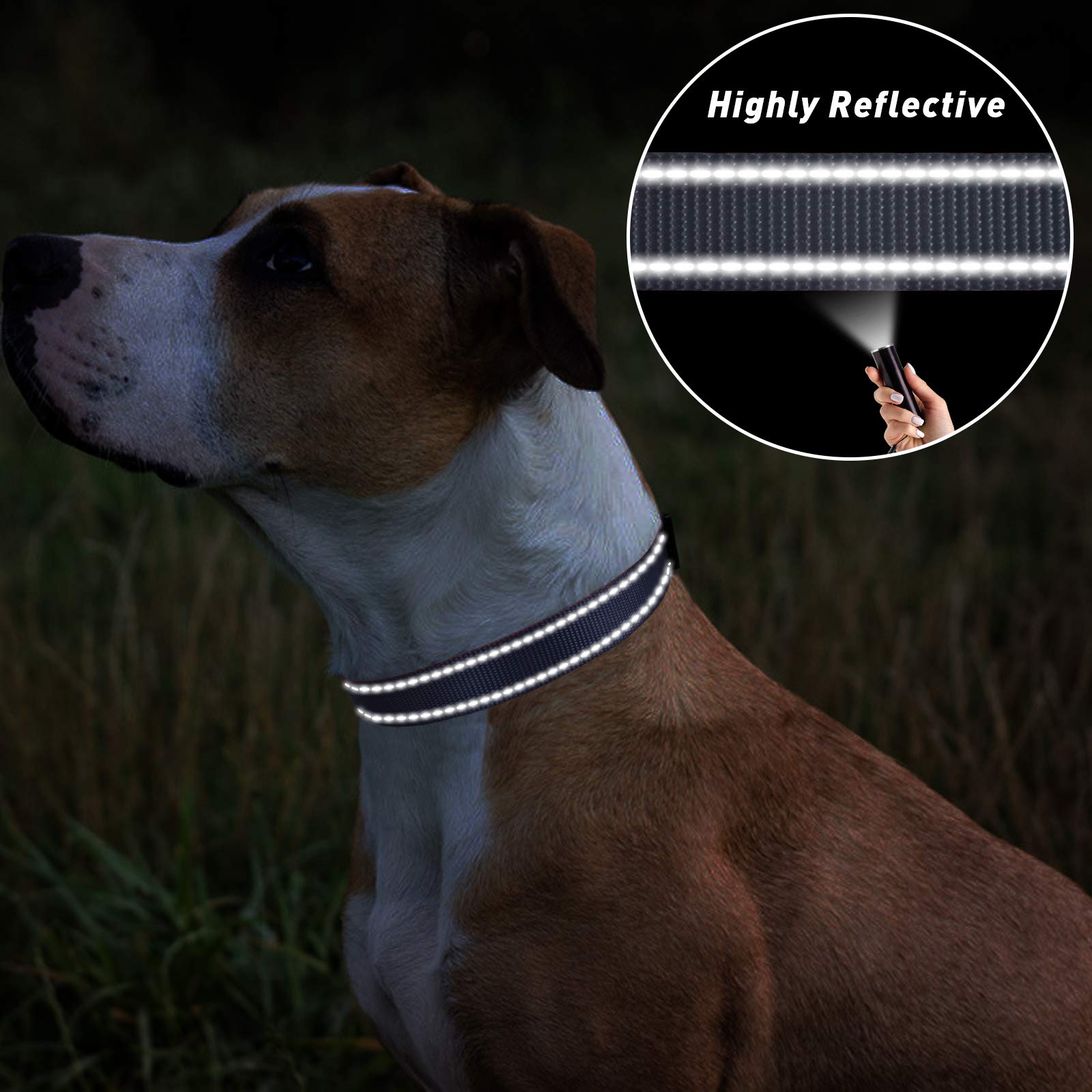 Tagme Reflective Nylon Dog Collars, Adjustable Classic Dog Collar With Quick Release Buckle For Medium Dogs, Grey, 1.0' Width