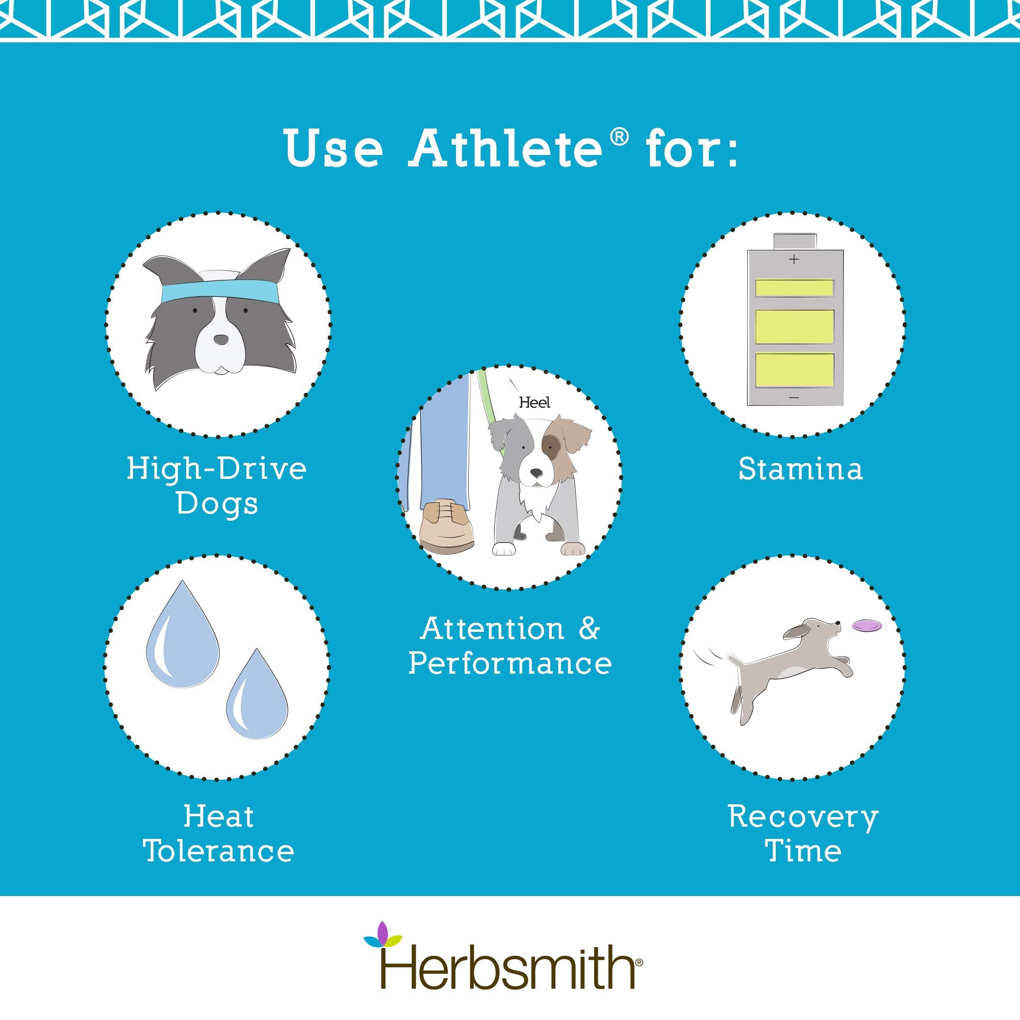Herbsmith Athlete - Canine Endurance Supplement for Working and Agility Dogs - For the Canine Athlete - 500g Powder