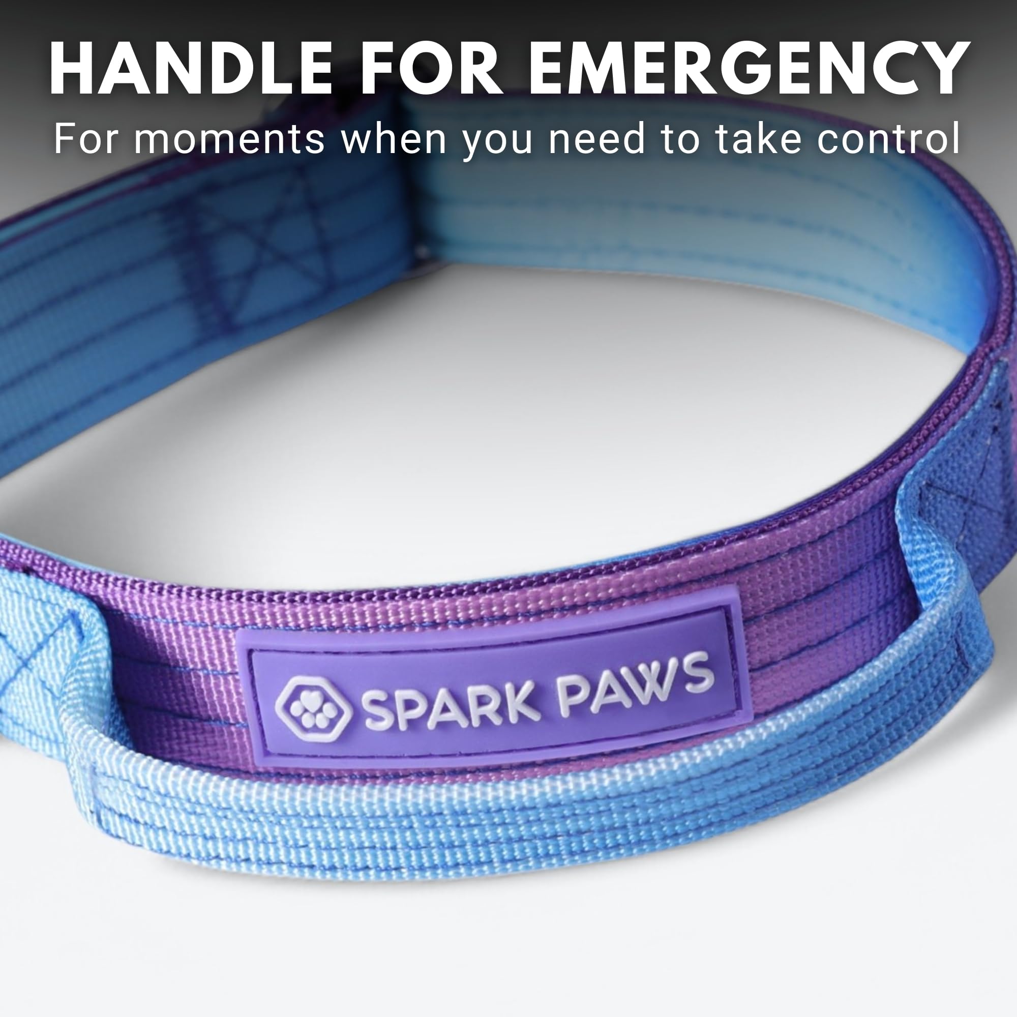 Spark Paws Tactical Dog Collar - Heavy Duty, Premium Quality, Thick And Durable For Large And Medium Dogs - 90'S Retro - Xs - 1'
