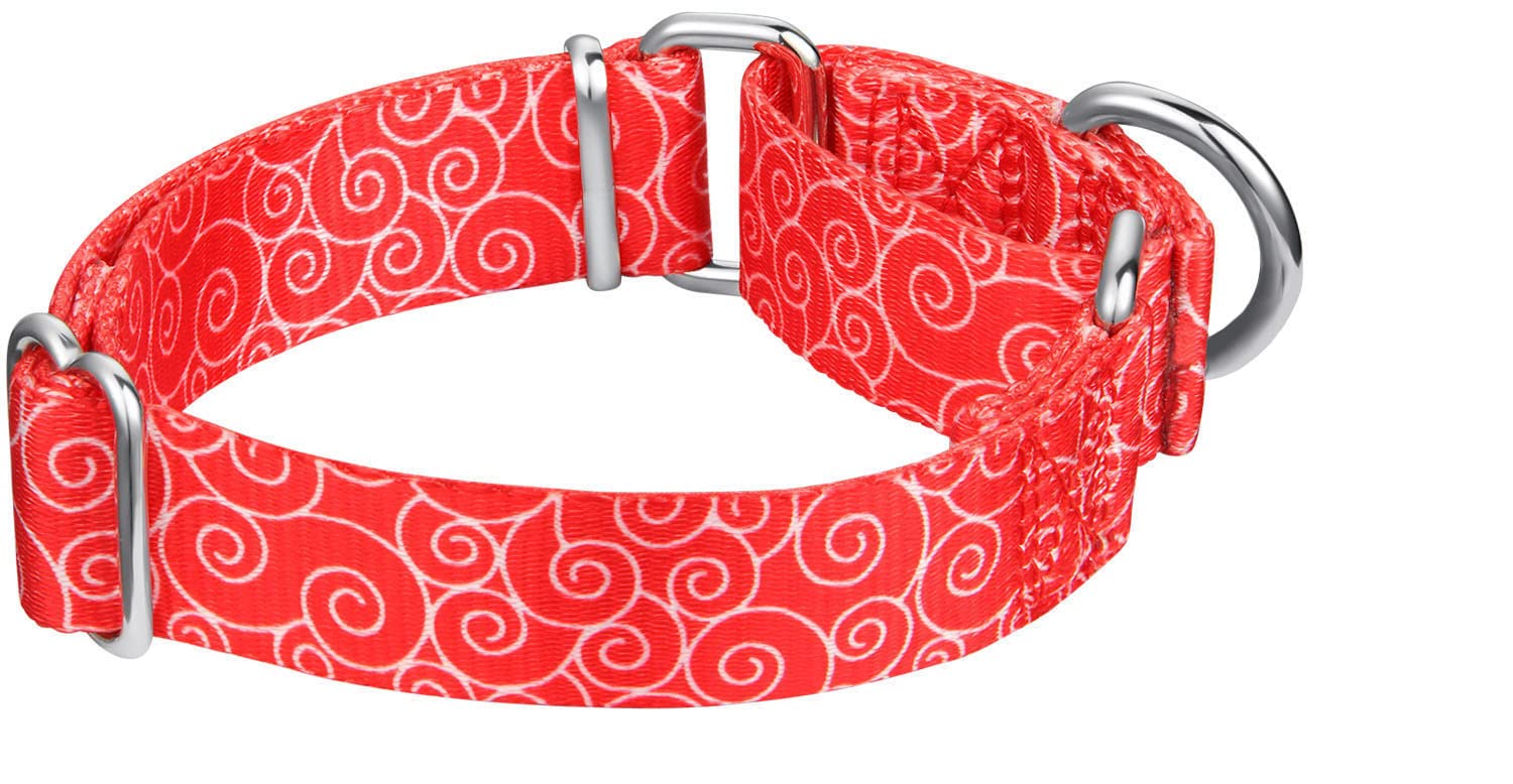 Dazzber Martingale Collars For Dogs, No Pull Anti-Escape Pet Collar, Heavy Duty For Medium Dogs, Adjustable 14 Inch To 21 Inch, Red, Auspicious Cloud