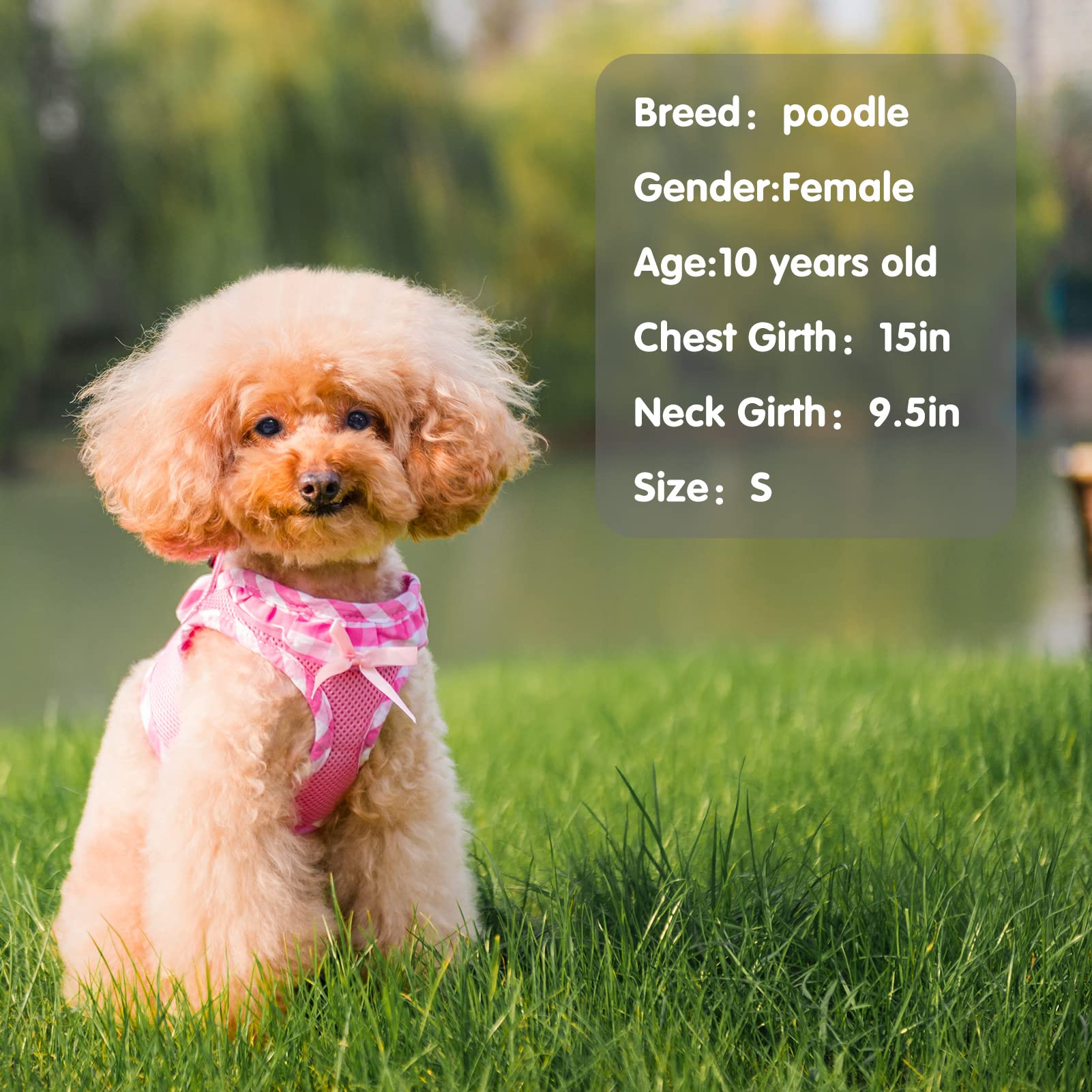 Pupteck Small Dog Harness No Pull Step-In Puppy Cat Harness Soft Mesh For Girls, Pink S