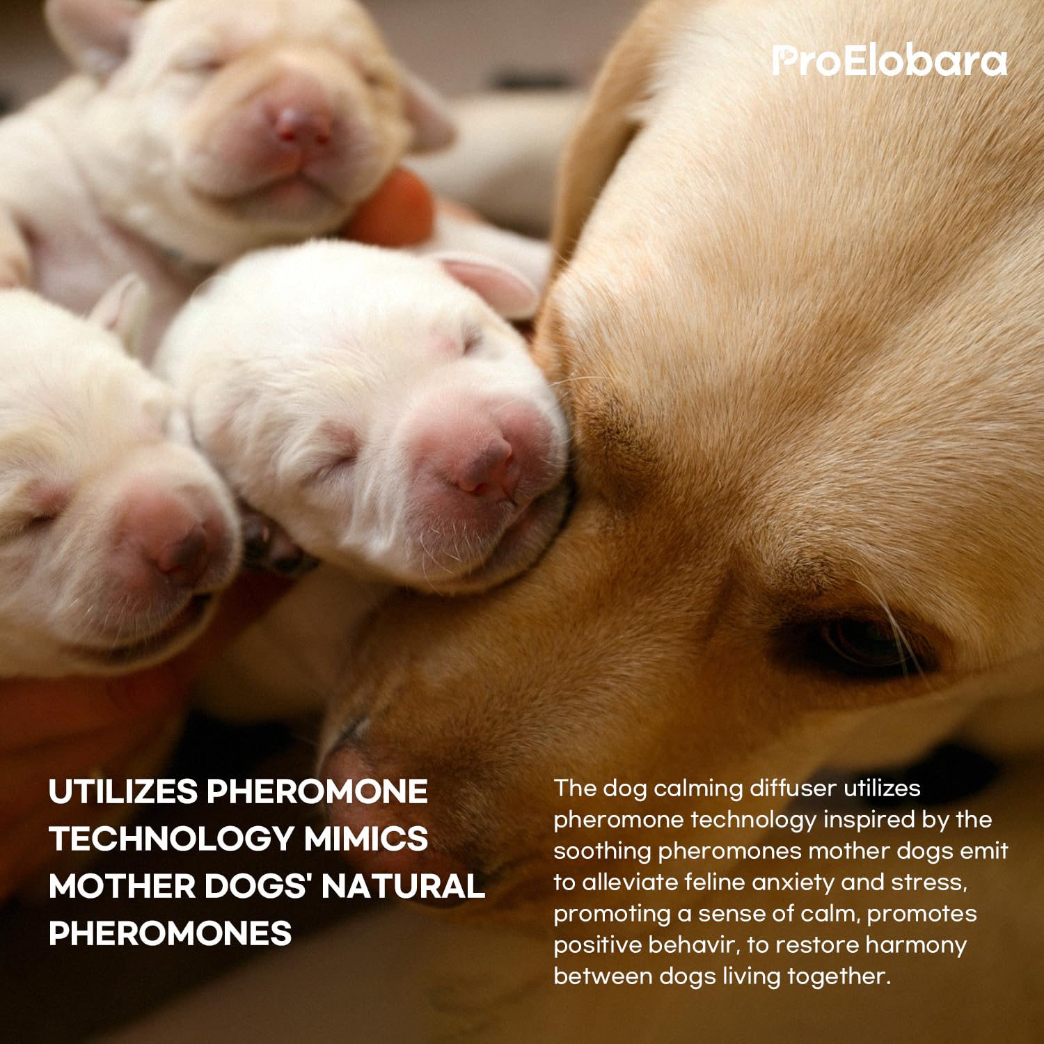 ProElobara Dog Calming Pheromone Diffuser Refills: Dog Calming Pheromones Diffuser Refills - Reduces Stress & Anxiety Calming Ph
