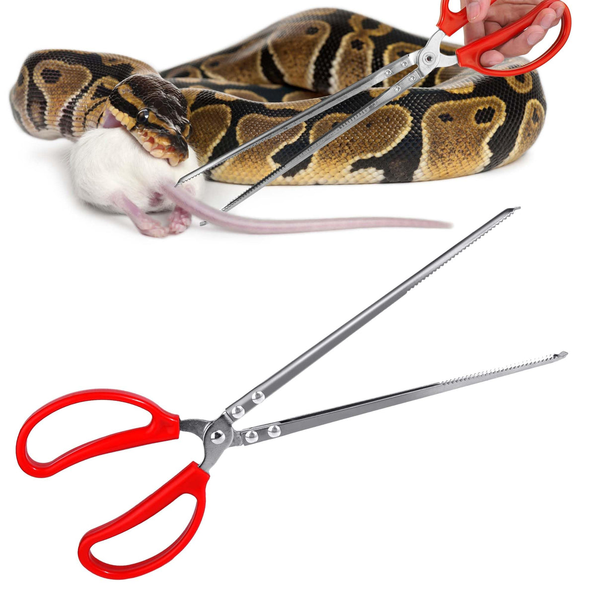 Snake Feeding Tongs,15 Inch Reptile Feeding Tongs,Extra Long Large Tweezers For Corn Ball Python Accessories,Bearded Dragon Tank