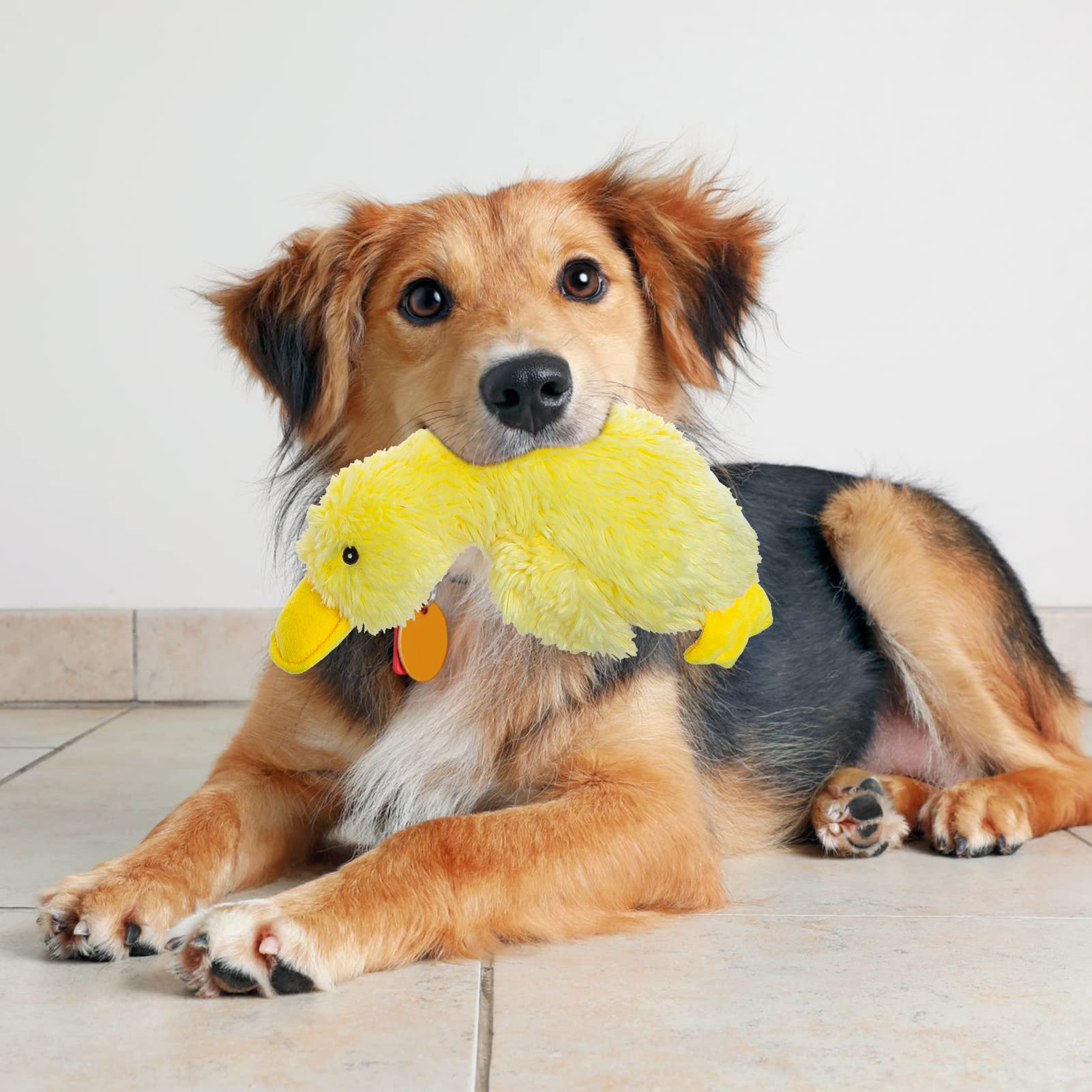 Expawlorer Plush Squeaky Duck Dog Toy - Soft Stuffed Cute Duck, Best Birthday Gift Interactive Filled Chew Toys For Small Medium Large Dogs Puppy Biting Training Teething, Yellow Large