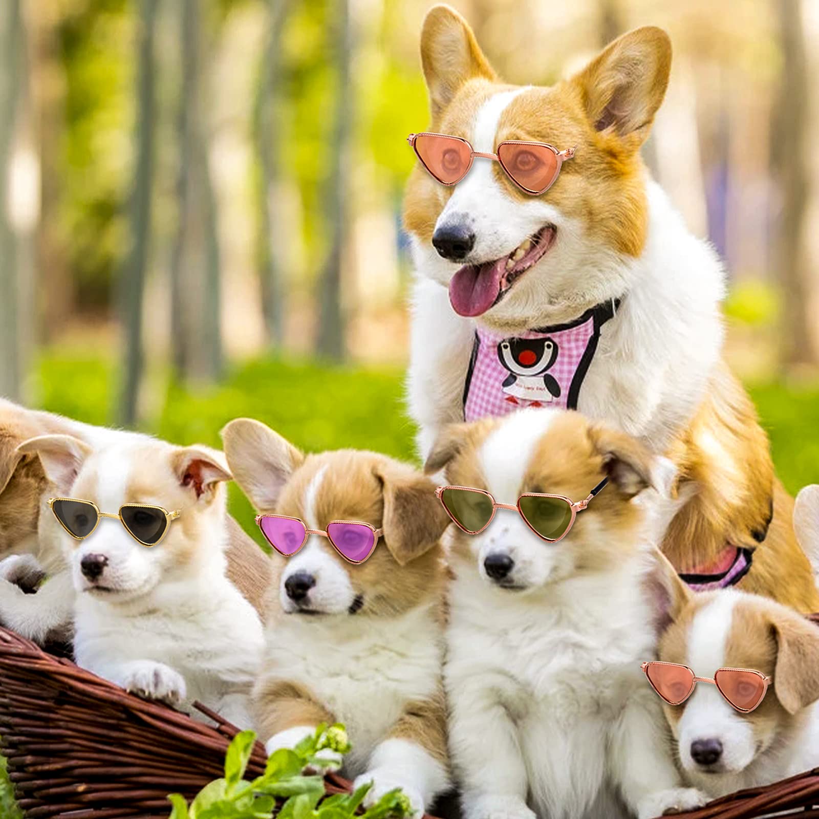 Molain Cat Sunglasses- Pet Puppy Uv Protection Sunglasses Dolls Sun Glasses  Small Dog Cosplay Photo Props Cute Sunglasses (4Pcs-Heart Sunglasses) -Like New