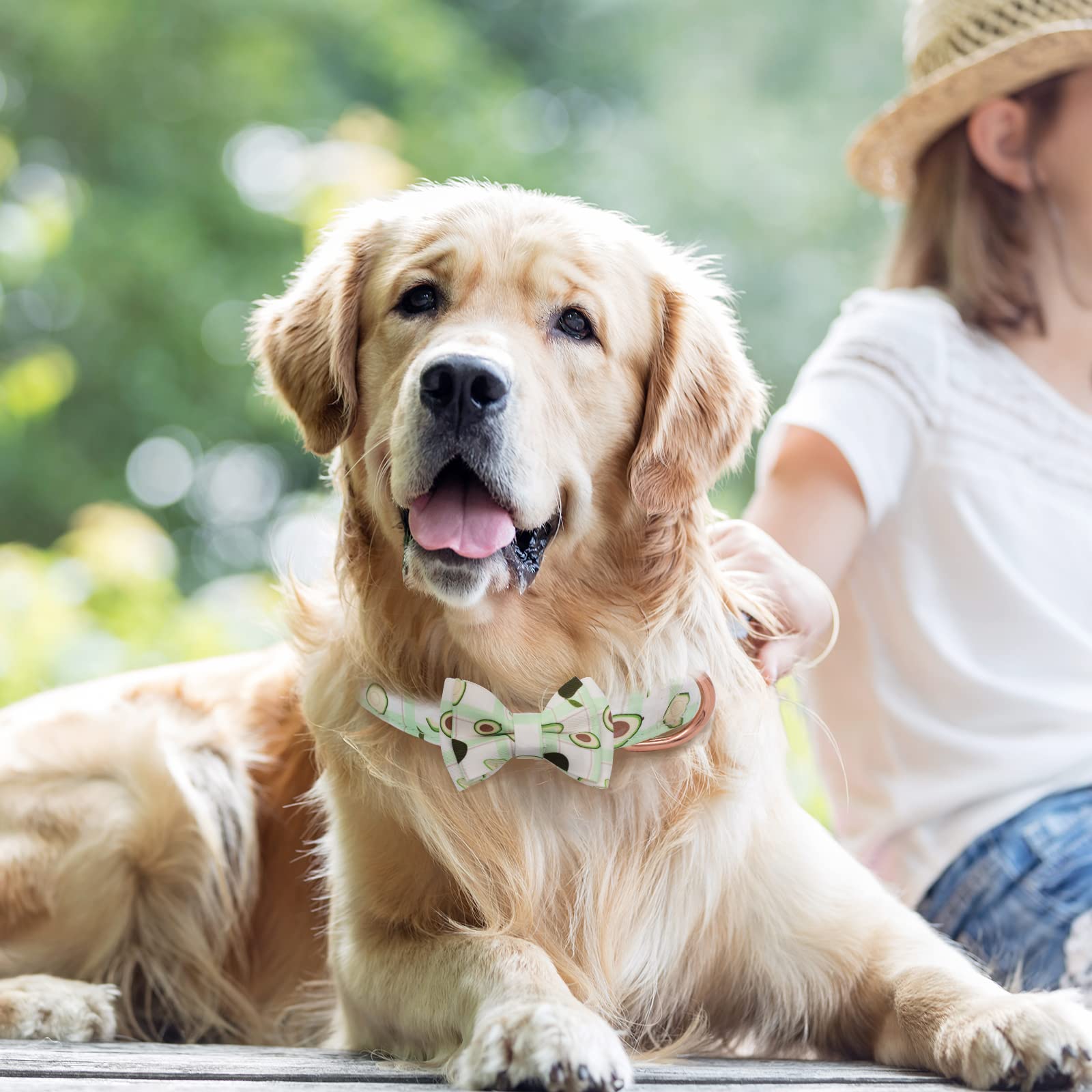 Dog Collar And Leash Set With Flower Bow Tie Girls Dog Collar Dog Tag Metal Buckle Adjustable For Small Medium Large Dogs Green Flower-L