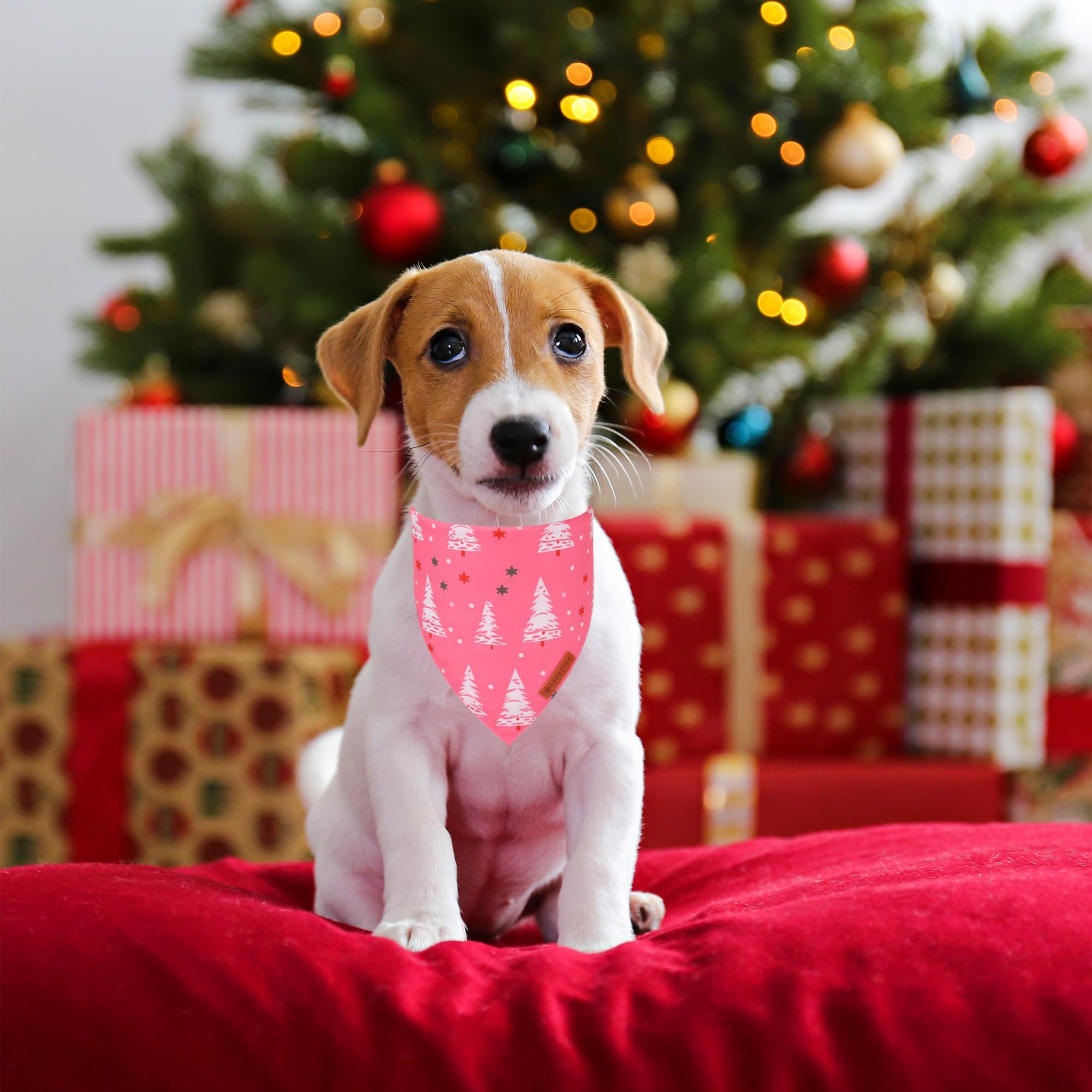 ADOGGYGO Pink Christmas Dog Bandana, Santa Xmas Tree Dog Scarf, Adjustable Fit Pink Pet Christmas Bandanas for Small Dogs Puppie