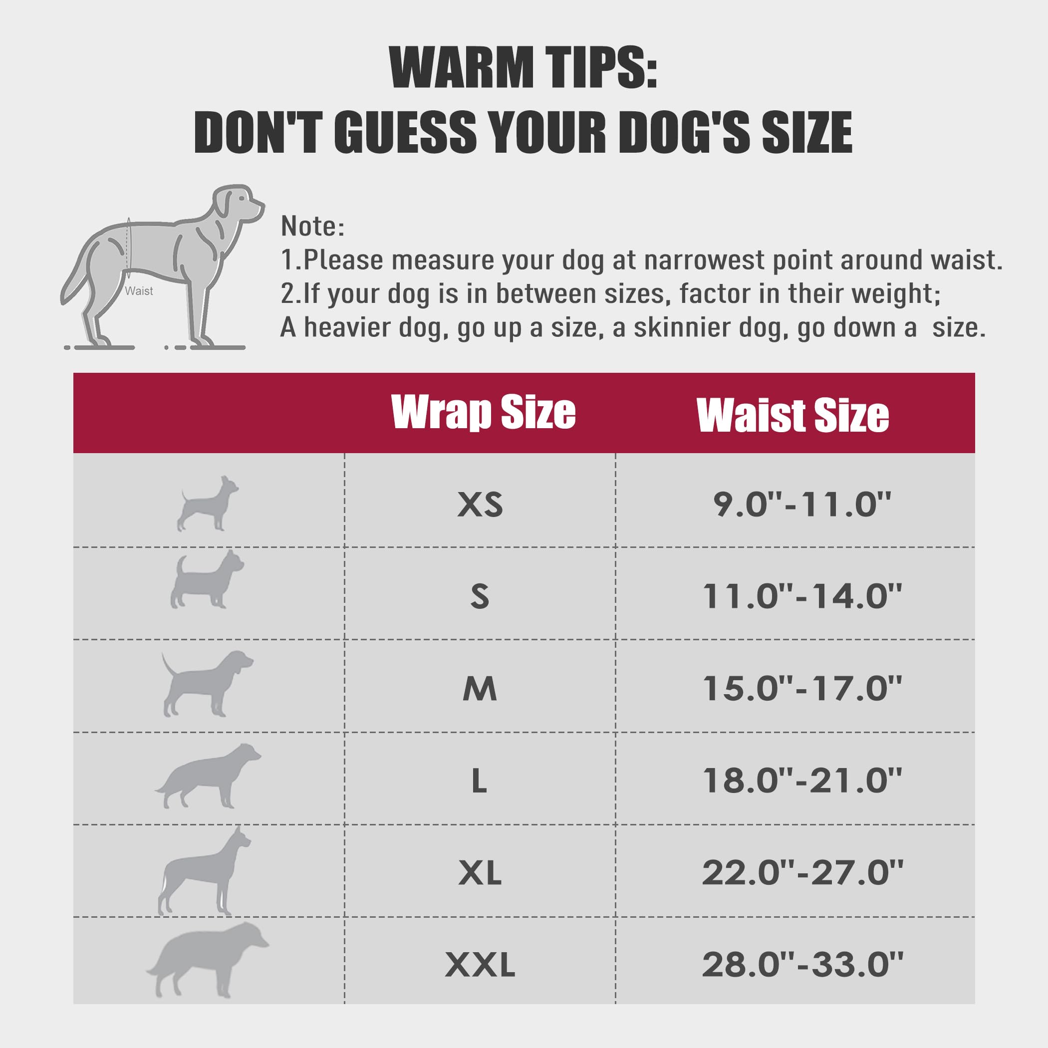 Wegreeco Washable Male Dog Belly Band (Stylish Pattern)- Pack Of 3 - Washable Male Dog Belly Wrap, Dog Diapers Male (Burgundy, Black, Jade, Small)