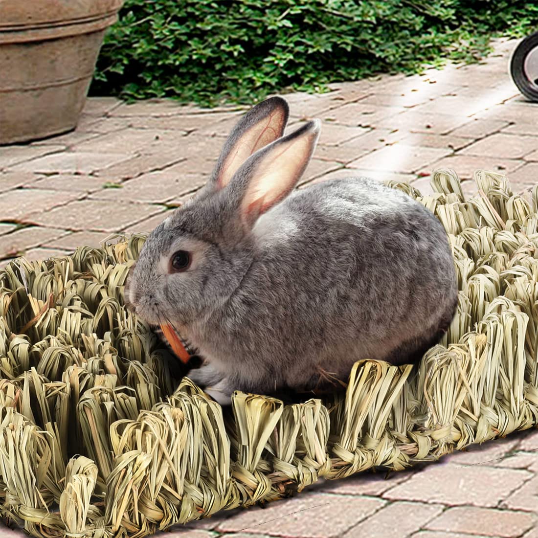 Hamiledyi Rabbit Grass Bed Bunny Natural Straw Woven Mat,Guinea Pig Hay Mat Chew Mat For Rabbit Guinea Pig Chinchilla Squirrel H