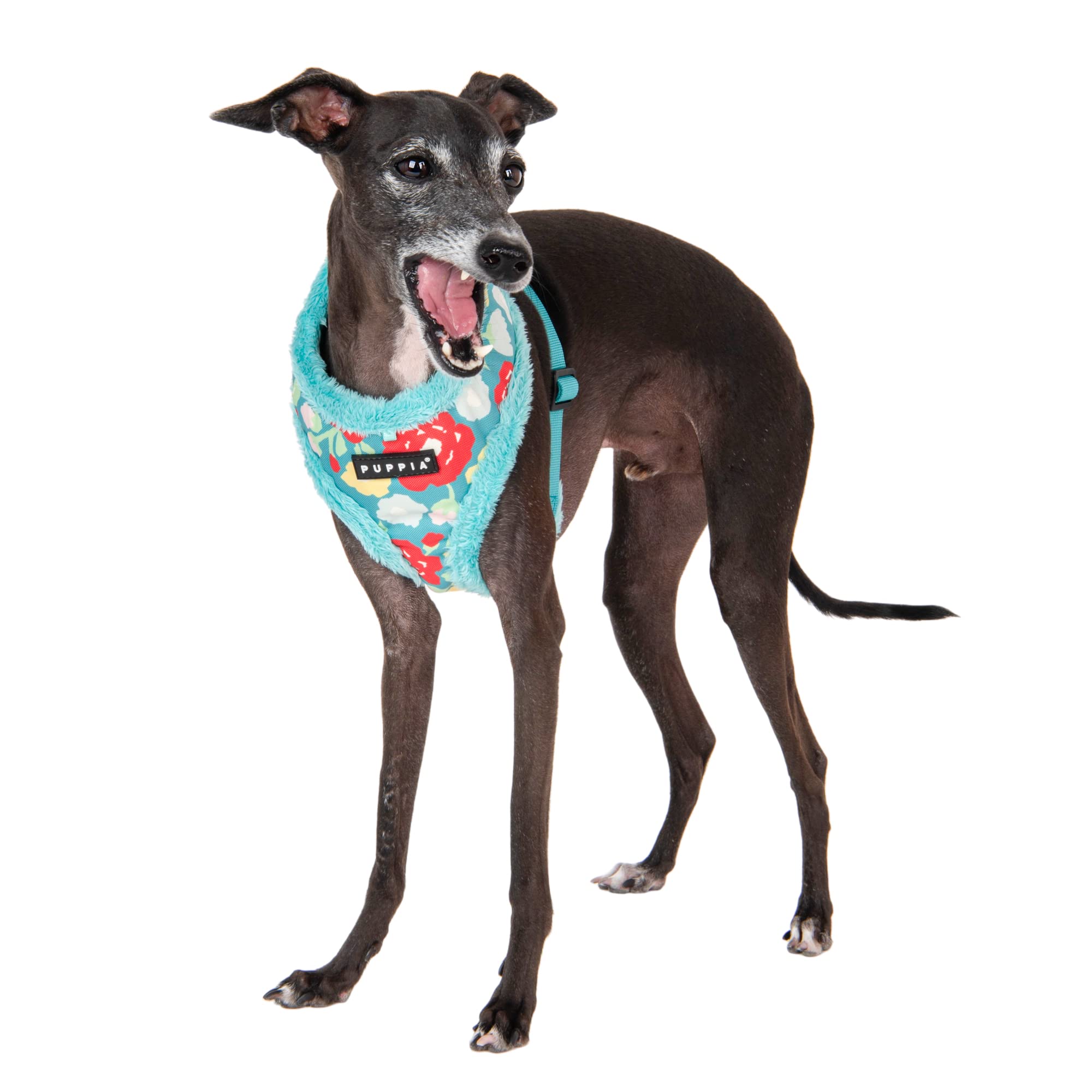 Puppia Alyssa Dog Harness Over-The-Head Warm Winter Flower Pattern Adjustable Chest For Small And Medium Dog, Aqua, X-Large