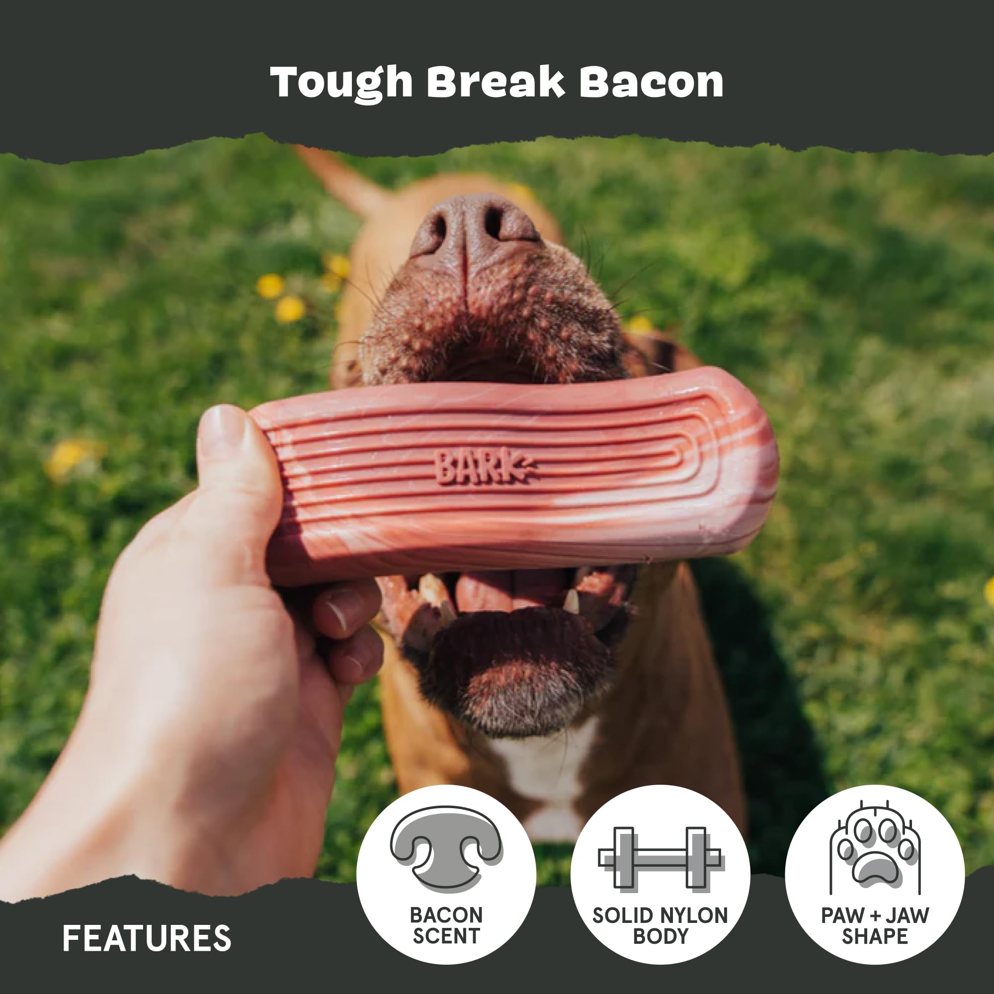 Barkbox Tough Break Bacon Dog Toy | Solid Nylon Bacon-Scented Dog Toy For Aggressive Chewers | Durable Dog Chew Toy For Medium &