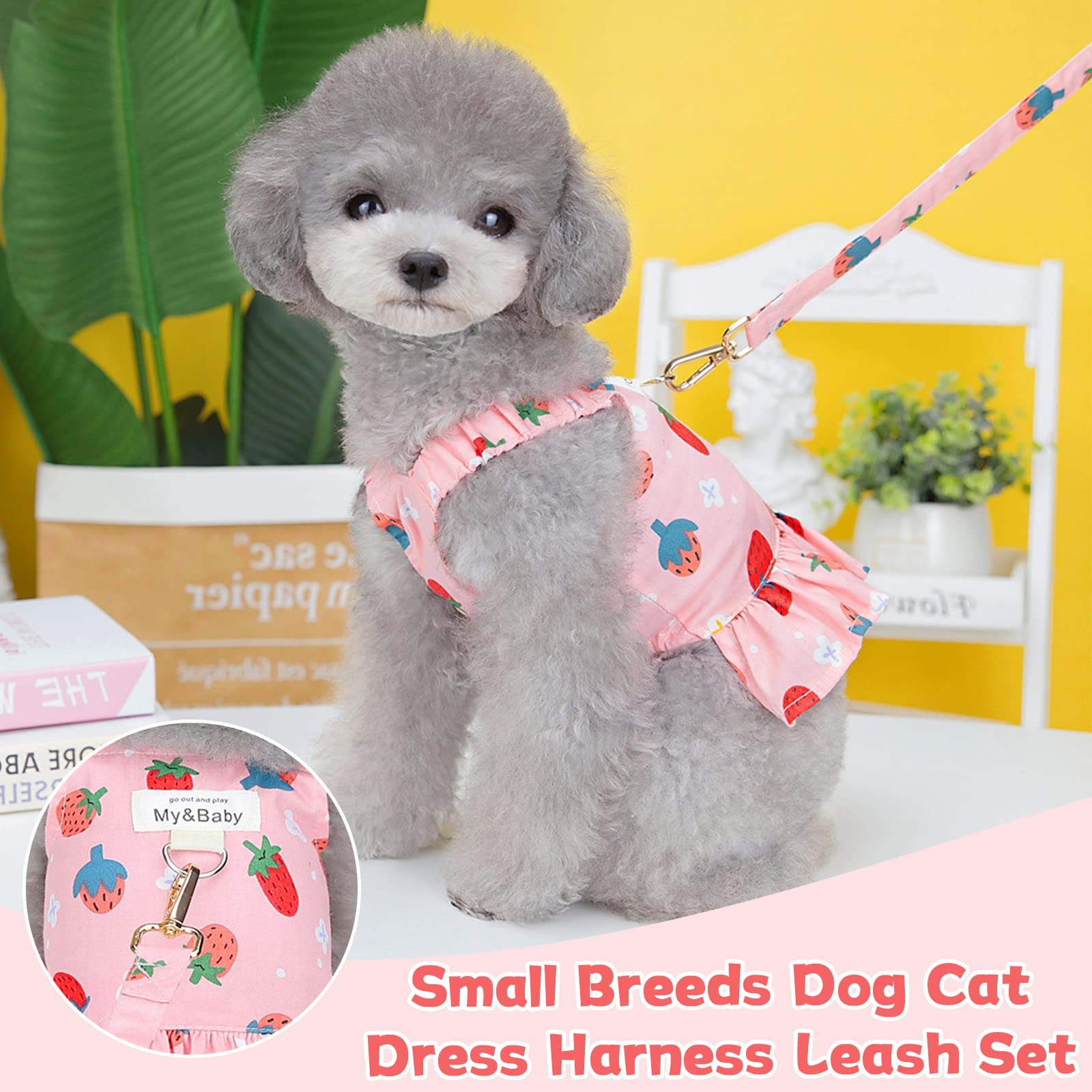 Petpubgnzs Small Dog Dress Harness And Leash Set Cute Princess Birthday Dog Dresses Soft Fruit Print Puppy Dresses Girl Dog Clot