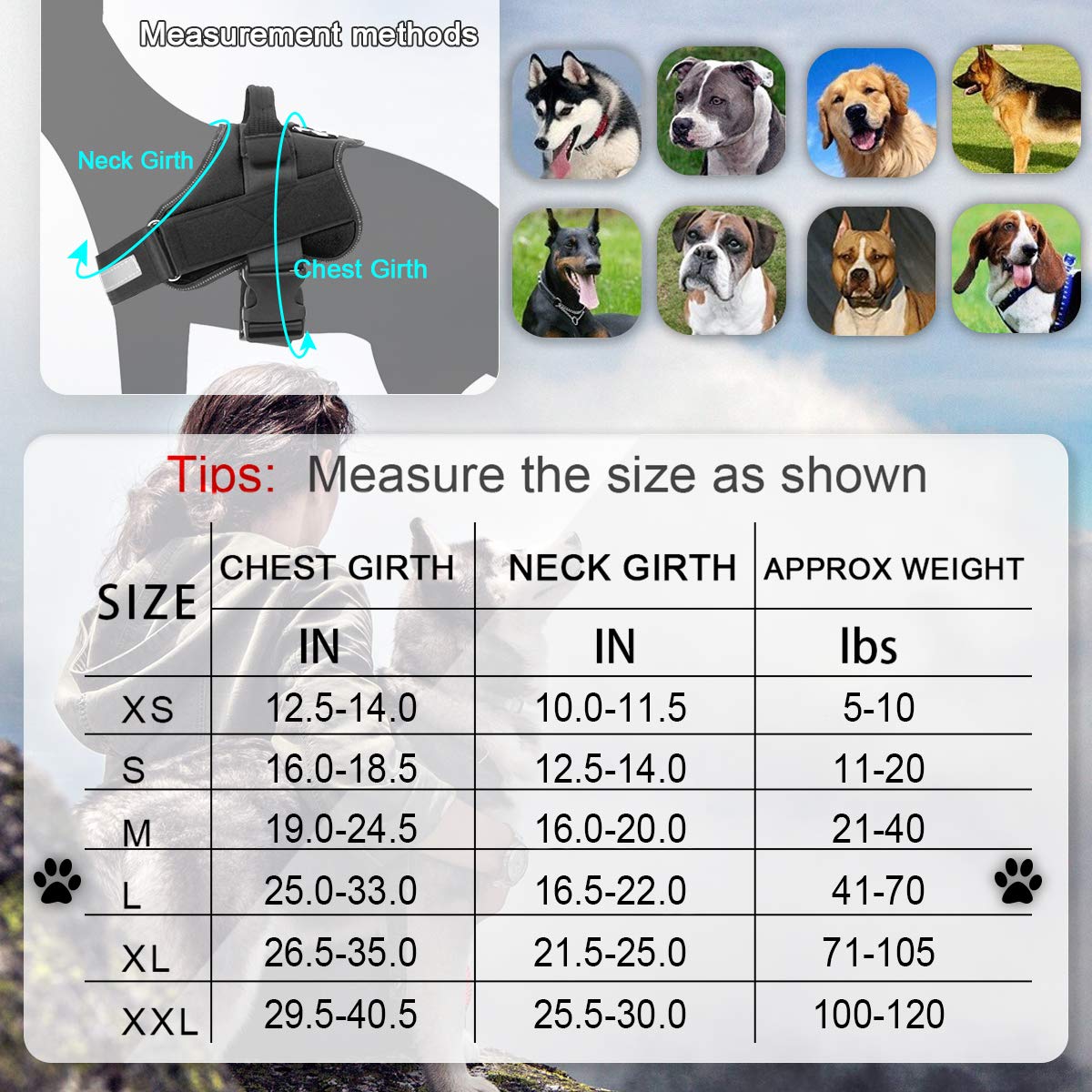 Bolux Dog Harness, No-Pull Reflective Dog Vest, Breathable Adjustable Pet Harness With Handle For Outdoor Walking - No More Pulling, Tugging Or Choking (Black, L)