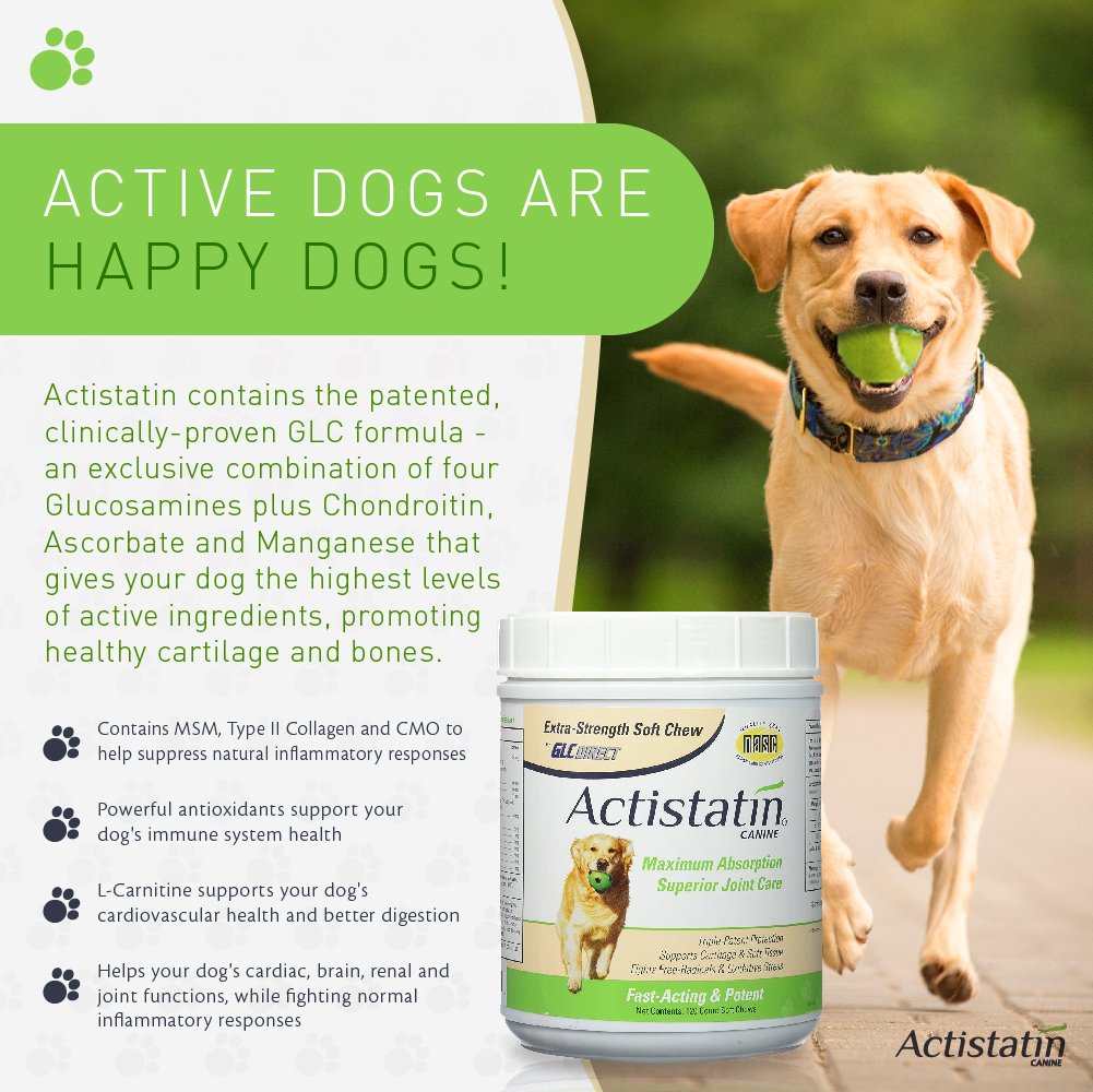 Actistatin Canine Large Dog Soft Chews, 120ct - Patented Extra-Strength Joint, Cartilage, Soft Tissue Supplement: Glucosamine, C