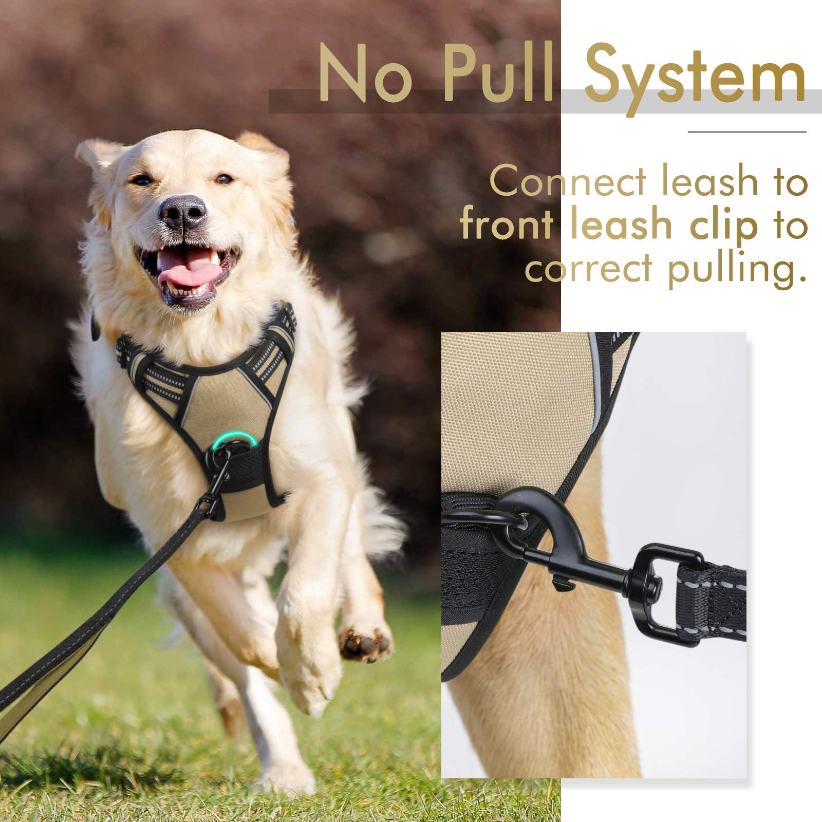 Rabbitgoo Dog Harness, No-Pull Pet Harness With 2 Leash Clips, Adjustable Soft Padded Dog Vest, Reflective No-Choke Pet Oxford Vest With Easy Control Handle For Large Dogs, Beige, Xl