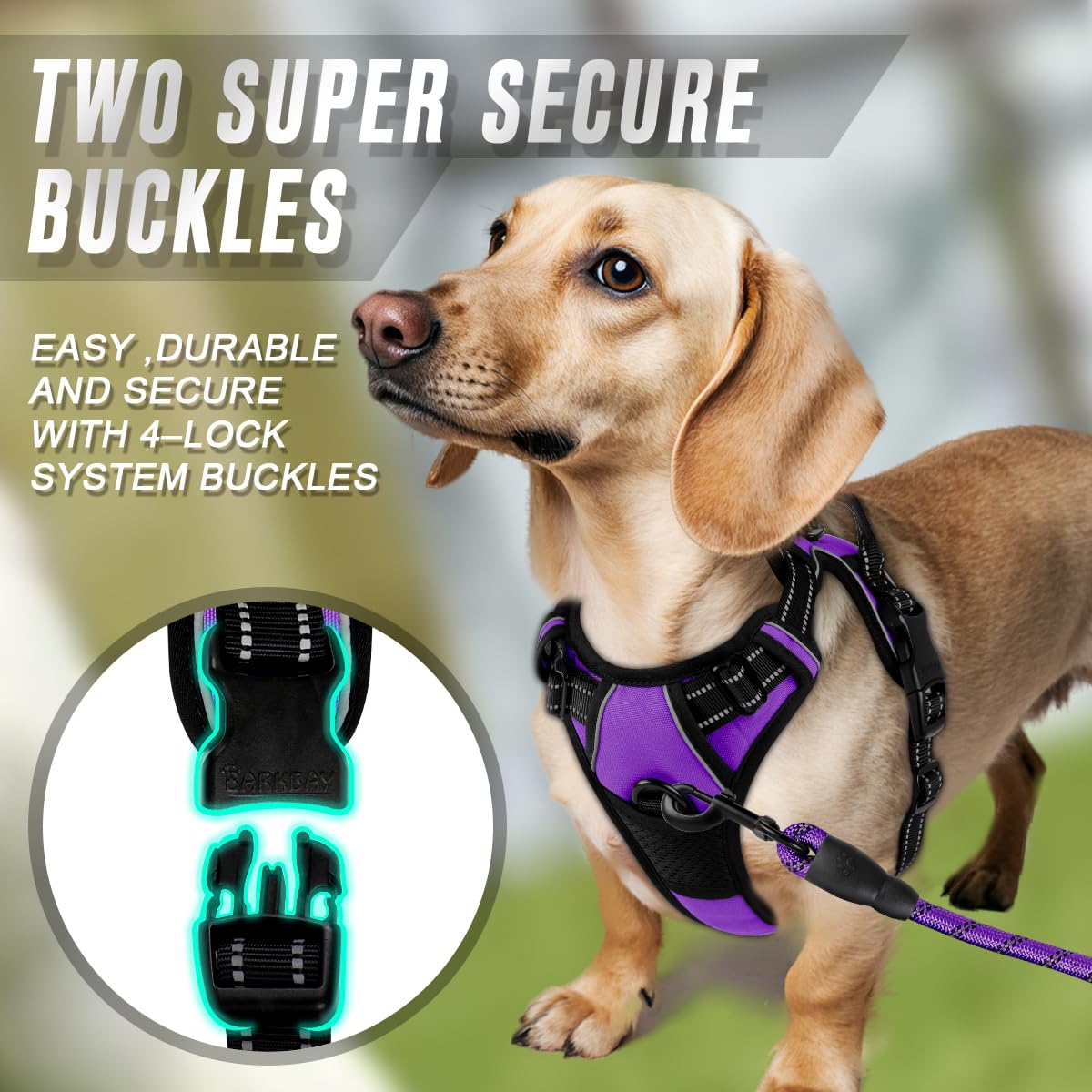 BARKBAY No Pull Dog Harness Front Clip Heavy Duty Reflective Easy Control Handle for Large Dog Walking(Purple,XS)