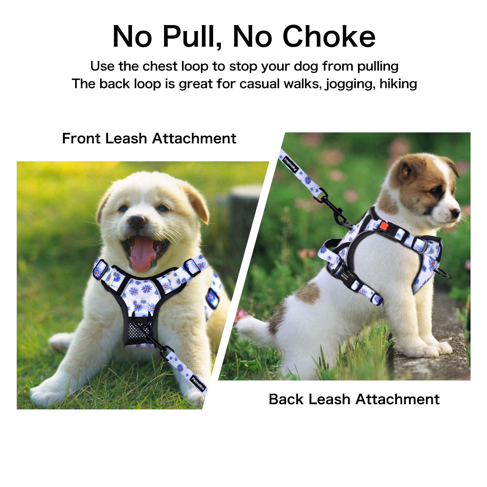 Petmolico No Pull Dog Harness & Leash Set, Medium Daisy, Soft Padded, Reflective, 2 Leash Attachments, Easy Control Handle, Model PT334