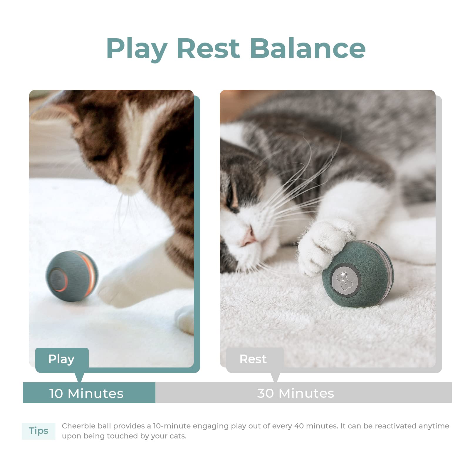 Cheerble [3 Interactive Modes Smart Interactive Cat Toy, Automatic Moving Bouncing Rolling Ball For Indoor Cat Kitten Birthday Gift, Self Rotating Ball With Lights And Bell, Usb Rechargeable Green