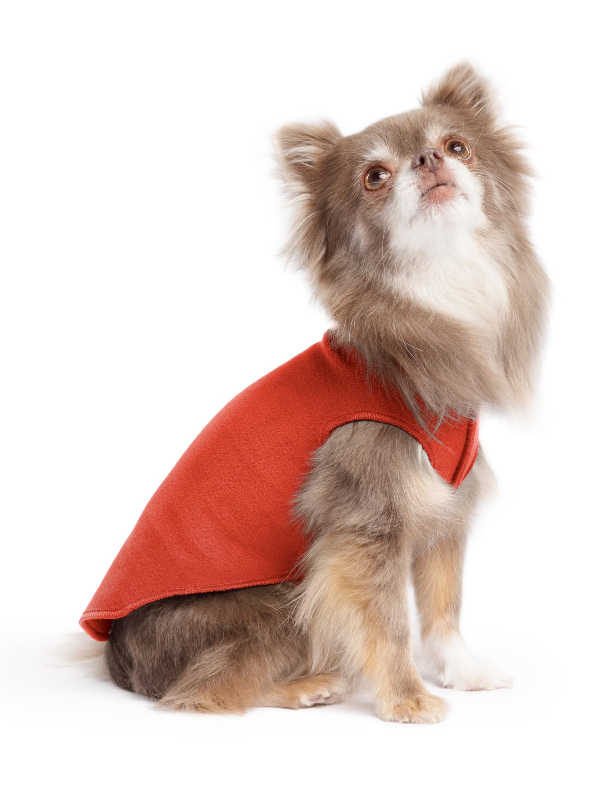 Gold Paw Stretch Fleece Dog Coat, Stretchy Pet Sweater, Machine Washable Pullover For Winter And Fall, Paprika, 6