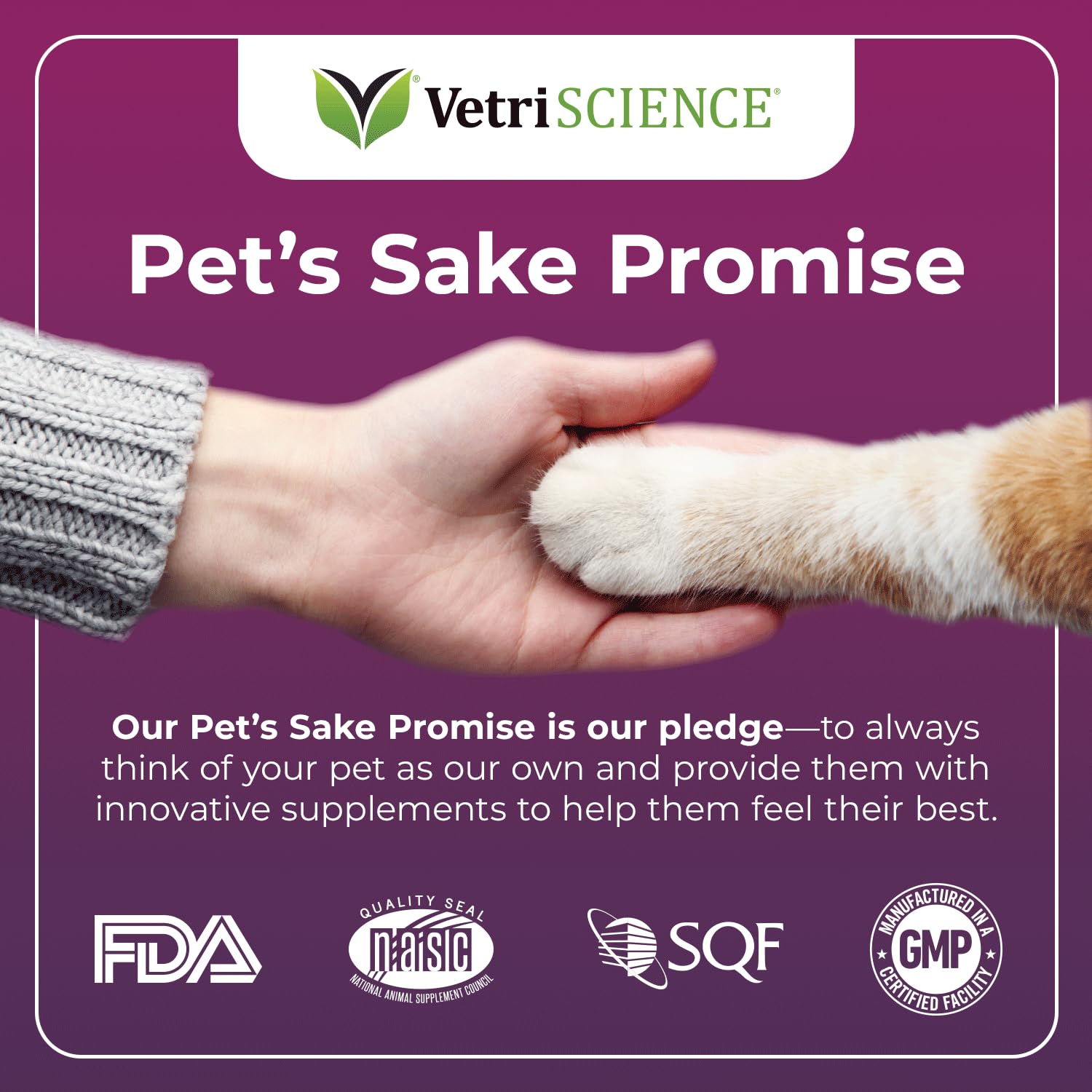 VetriScience Ultimate Strength Lysine Immunity Health Powder for Cats & Kittens, Supplement for Allergy & Nasal Support, Sneezin