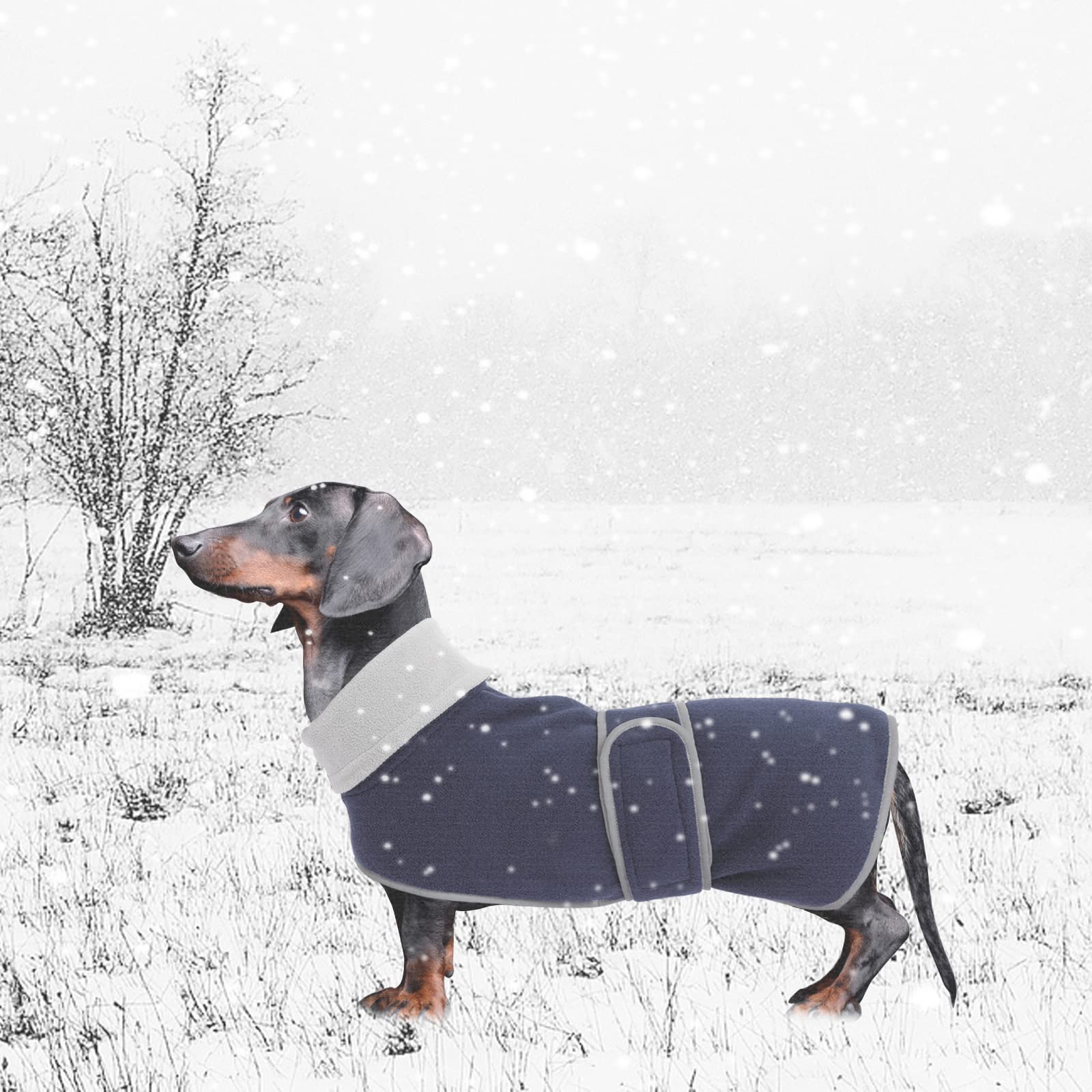 Dog Jacket, Dog Coat Perfect For Dachshunds, Dog Winter Coat With Padded Fleece Lining And High Collar, Dog Snowsuit With Adjustable Bands-Navy-L