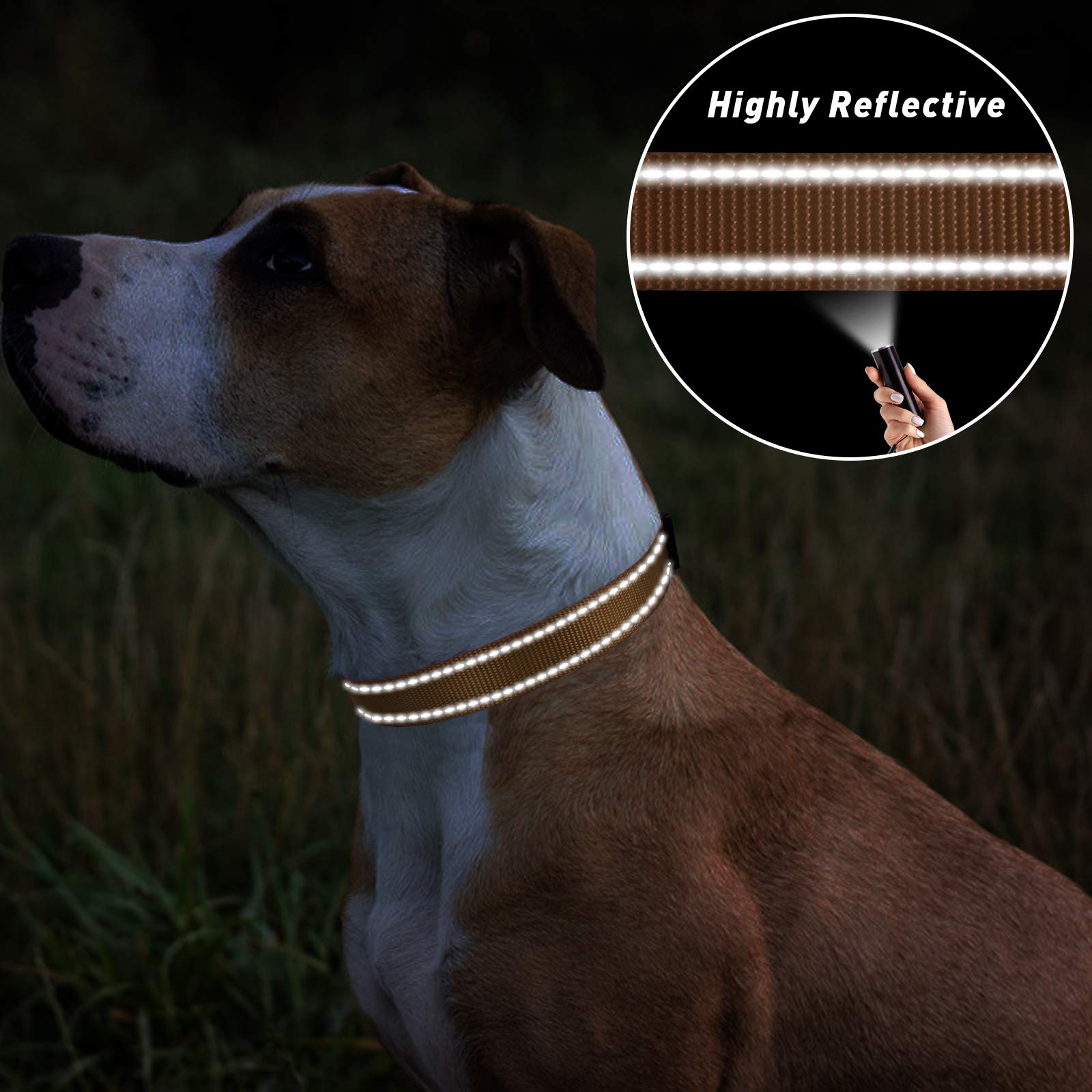 Tagme Reflective Nylon Dog Collars, Adjustable Classic Dog Collar With Quick Release Buckle For Extra Large Dogs, Khaki, 1¼' Width