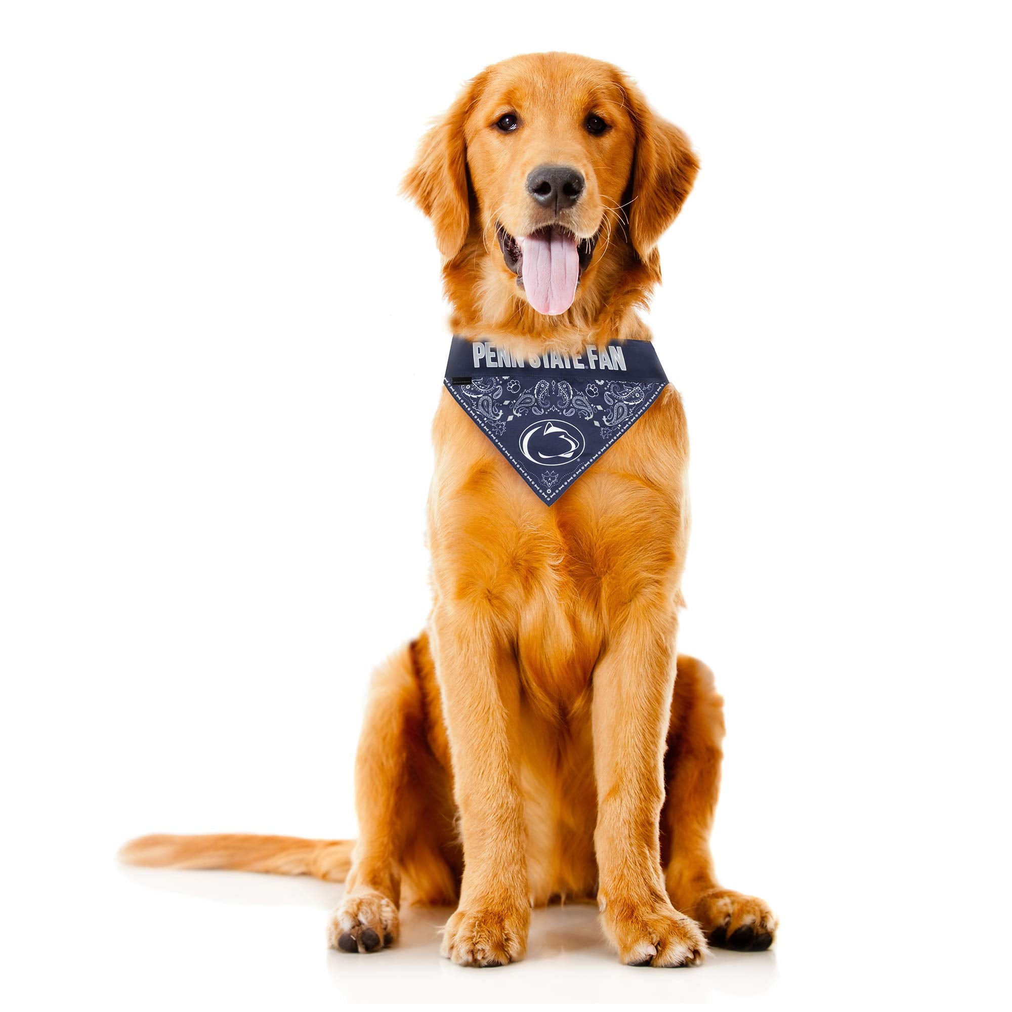 Littlearth Unisex-Adult Ncaa Penn State Nittany Lions Pet Bandana, Team Color, X-Large