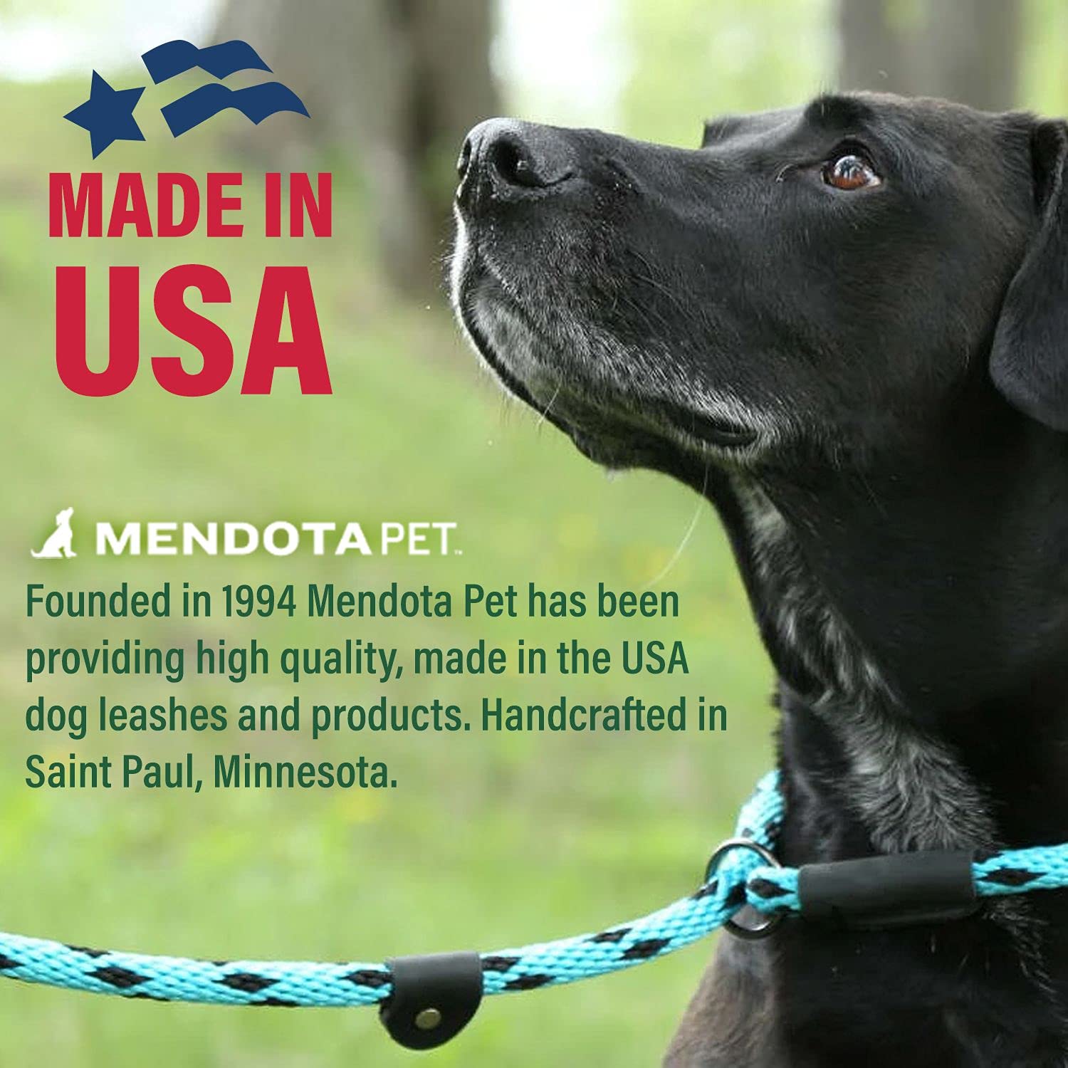 Mendota Pet Slip Leash - Dog Lead And Collar Combo - Made In The Usa - Sapphire, 1/2 In X 4 Ft - For Large Breeds