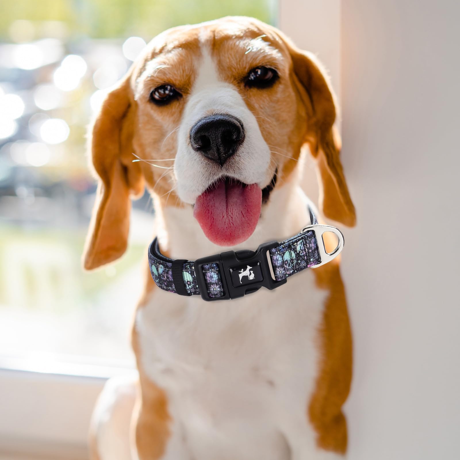 Reflective Dog Collar For Medium, Large & Extra Large Dogs - Soft Neoprene Padded, Adjustable Skull Design Stylish Gift Pet Coll