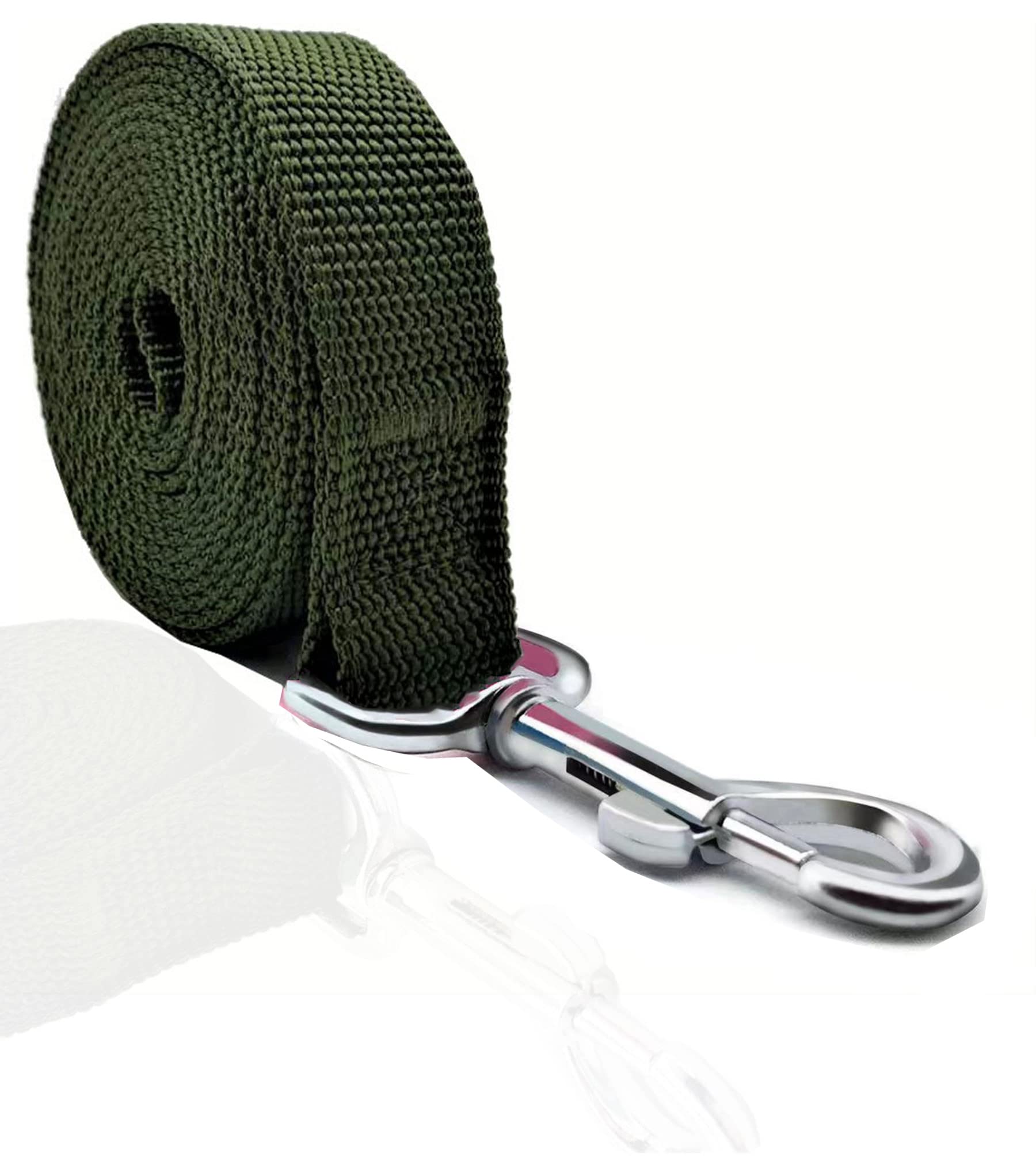 Taian 4Ft/5Ft/6Ft Strong Dog Leash, Nylon Dog Leashes For Small Medium Large Dogs (1 In X 5 Ft, Green)