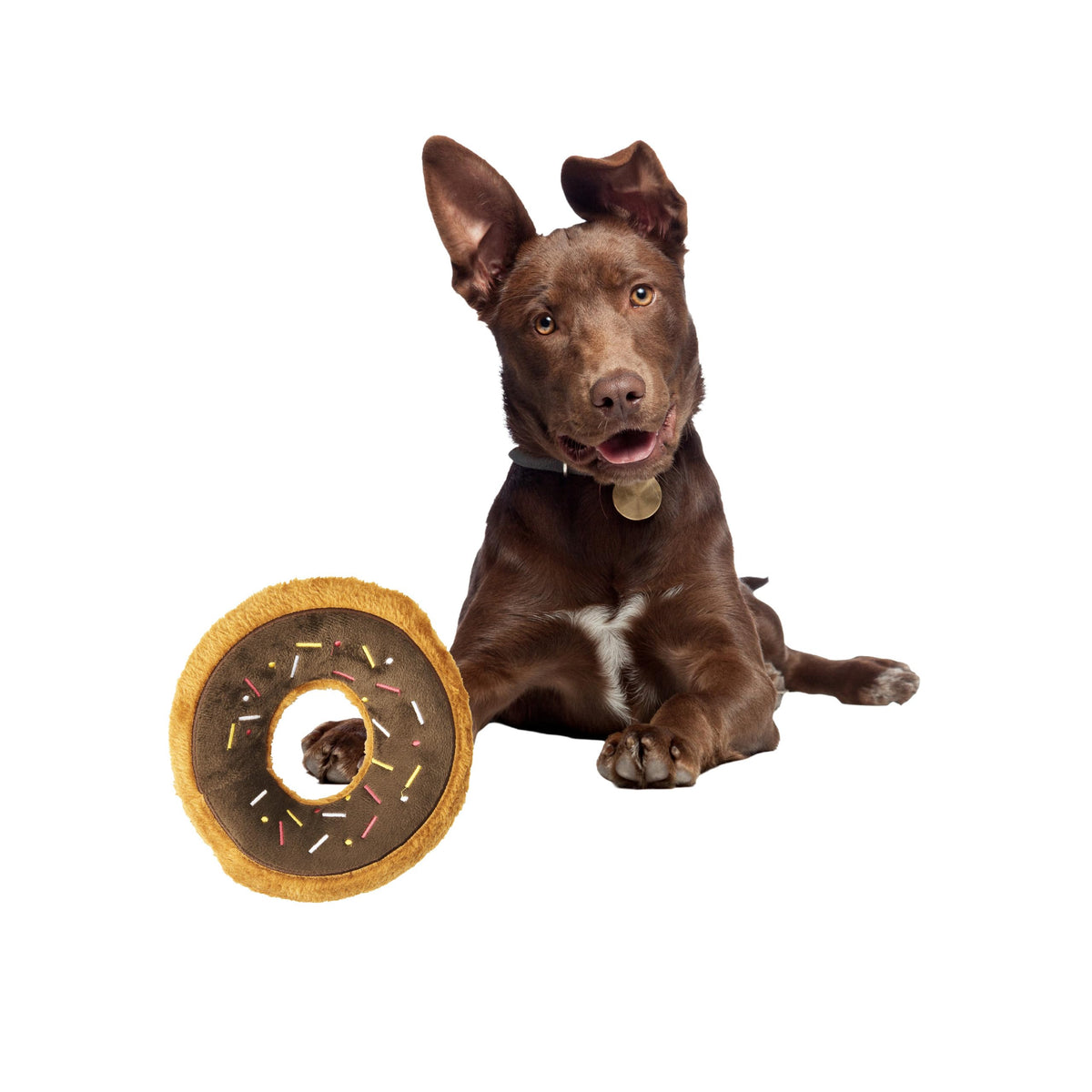 Spot Fun Food Tasty Donut- Plush Chew Toy With Self Healing Squeaker For Medium And Large Dogs And Puppies, 9Inch, Assorted Styles, 1 Piece