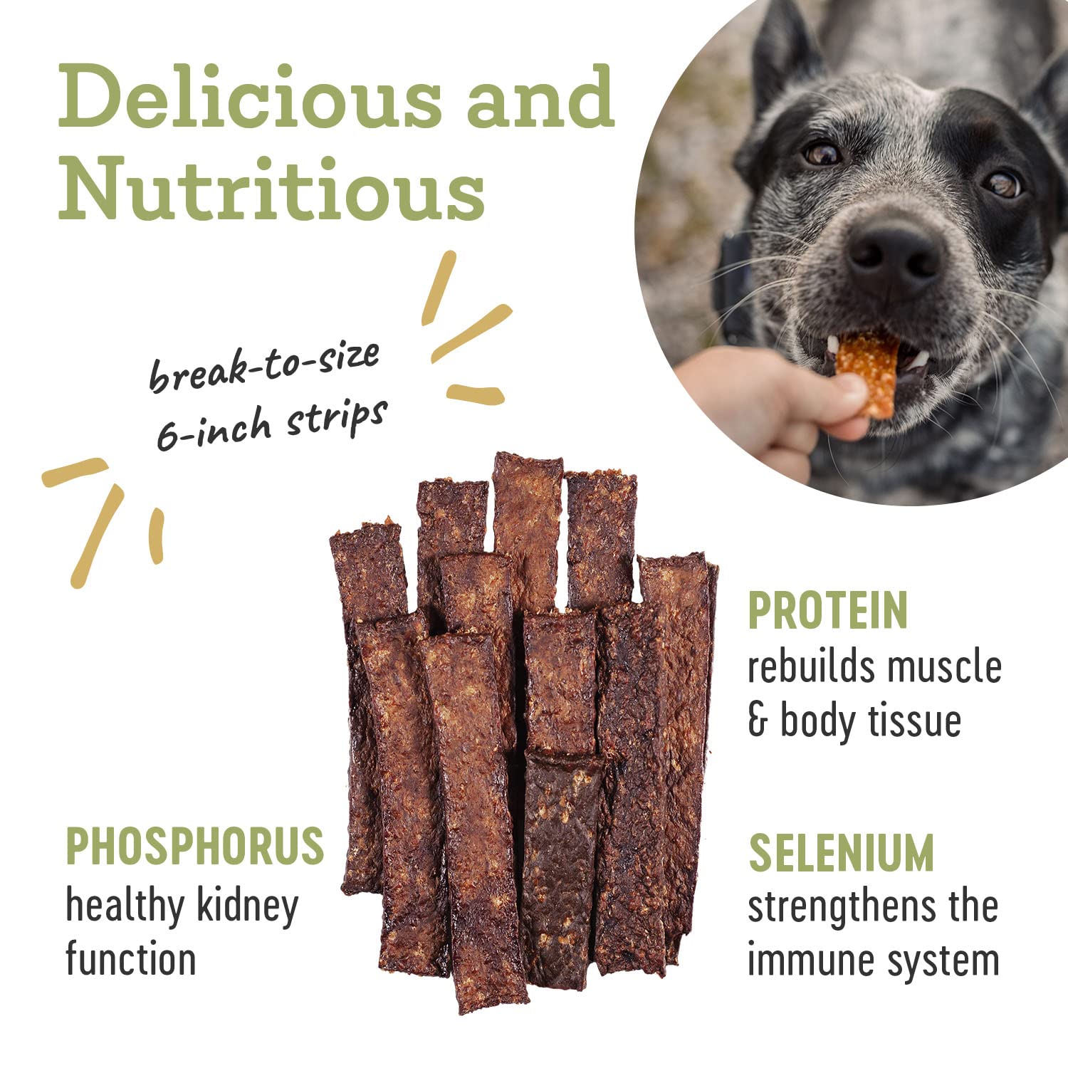 Farm Hounds - Beef Strips - Premium Natural Beef Jerky for Dogs - 100% Humanely Raised Cattle - Break-to-Size - Great for Traini