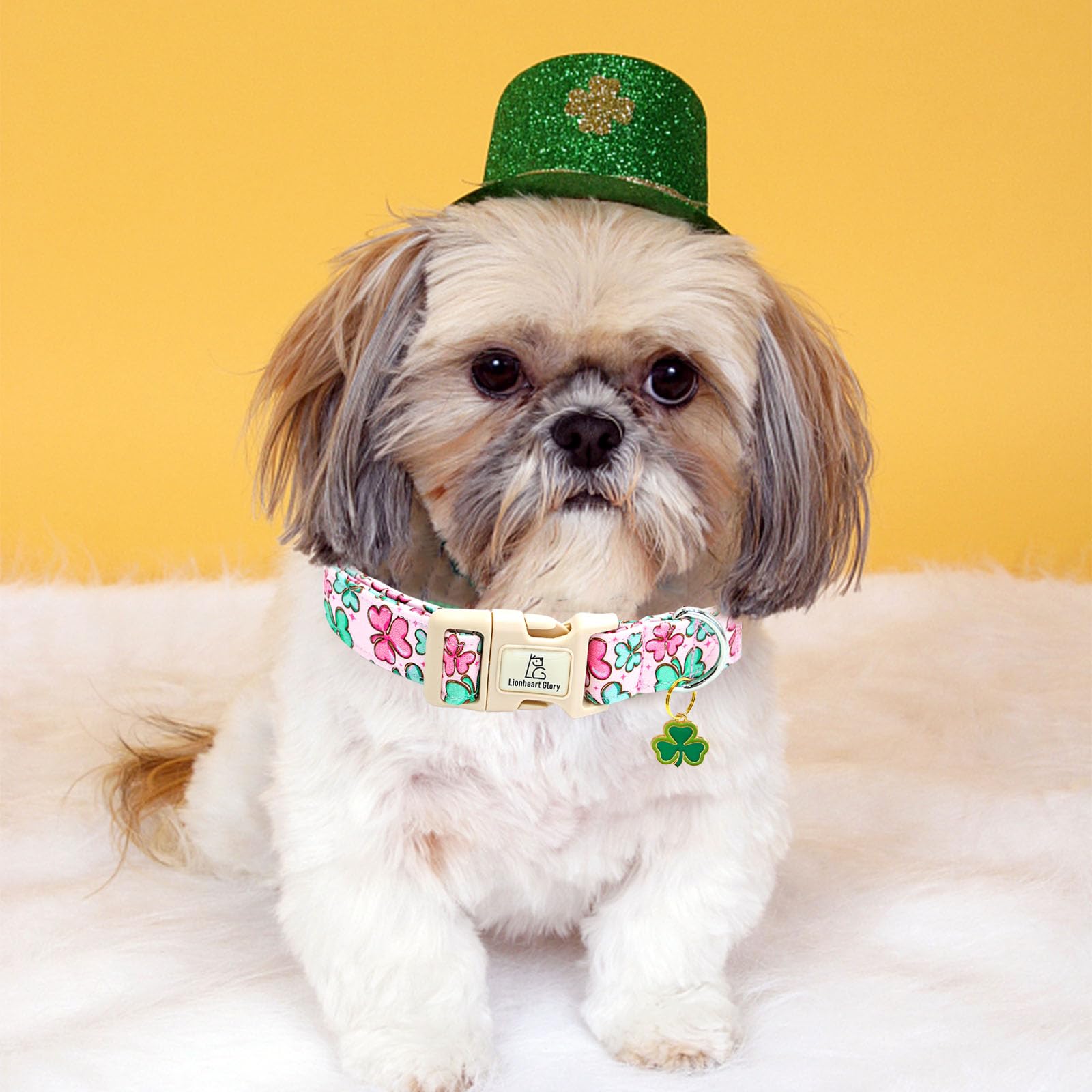 Lionheart Glory St. Patrick Dog Collar, Clover Pink Collar For Small Dogs Spring Female Dog Collars Adjustable Heavy-Duty Puppy