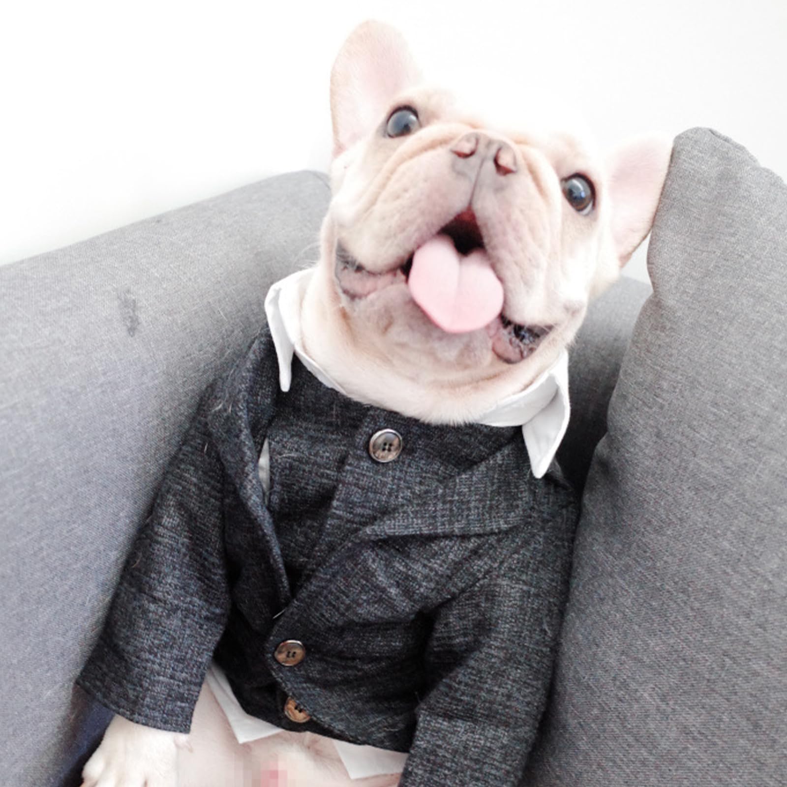 Tqflow Dog Clothes Pet Plaid Suit Dog Tuxedo Costumes, Formal Gentleman Apparel Vest, Wedding Party Birthday Wear French Bulldog